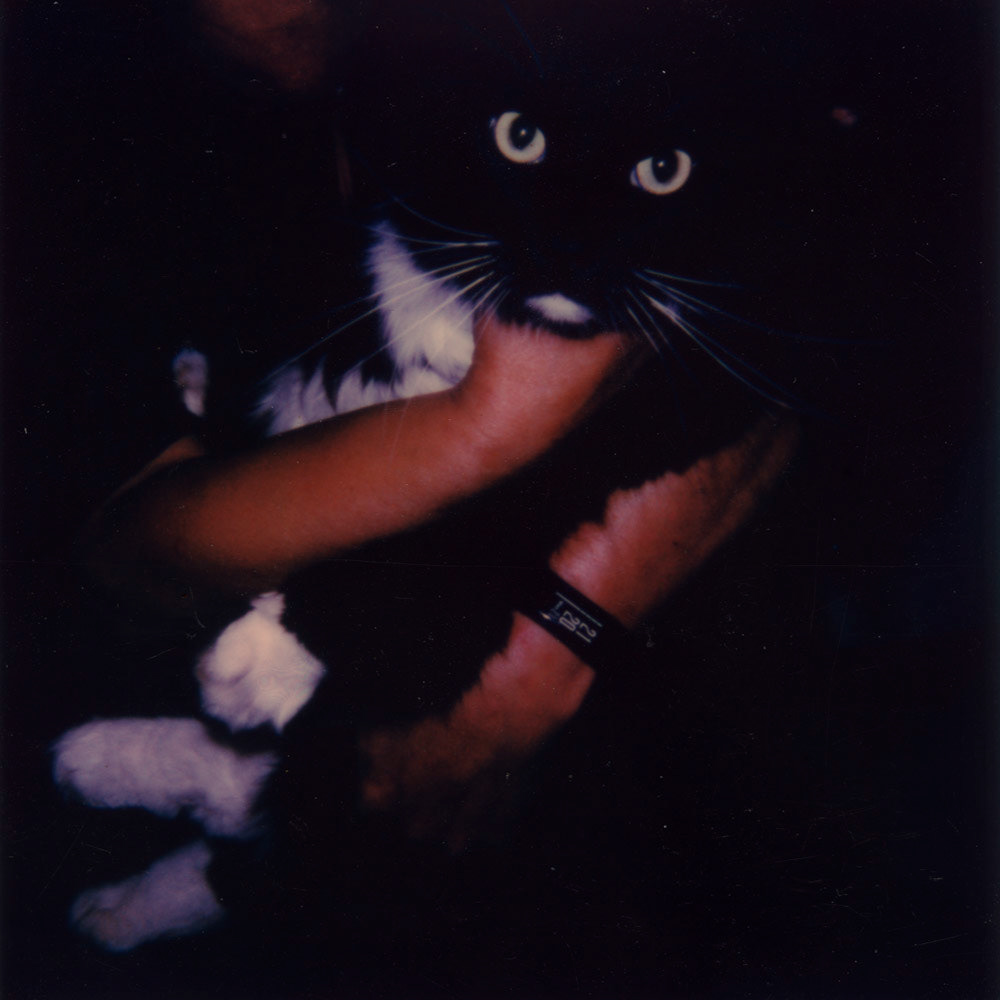 My mother was holding the cat