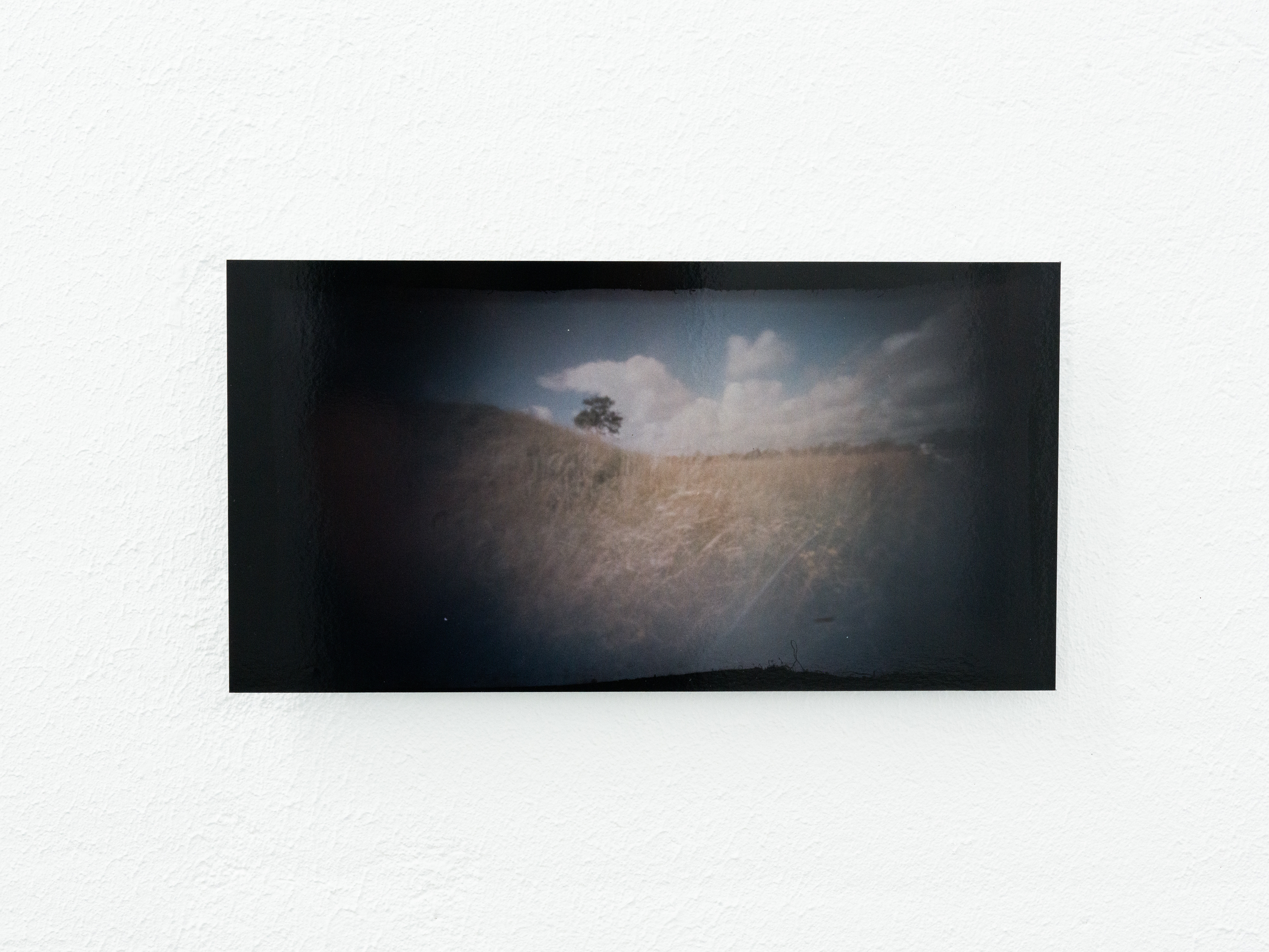 "A Common Dream of a Field"