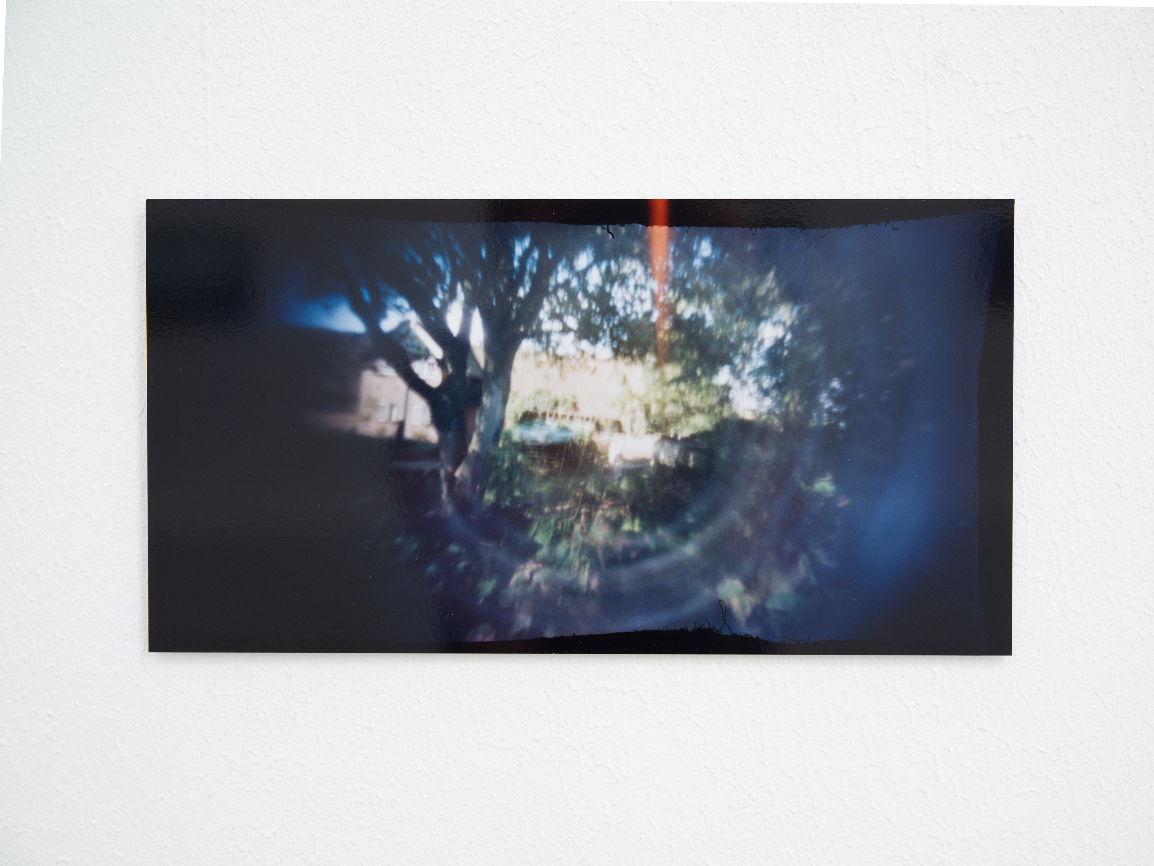 "Circular Garden View"