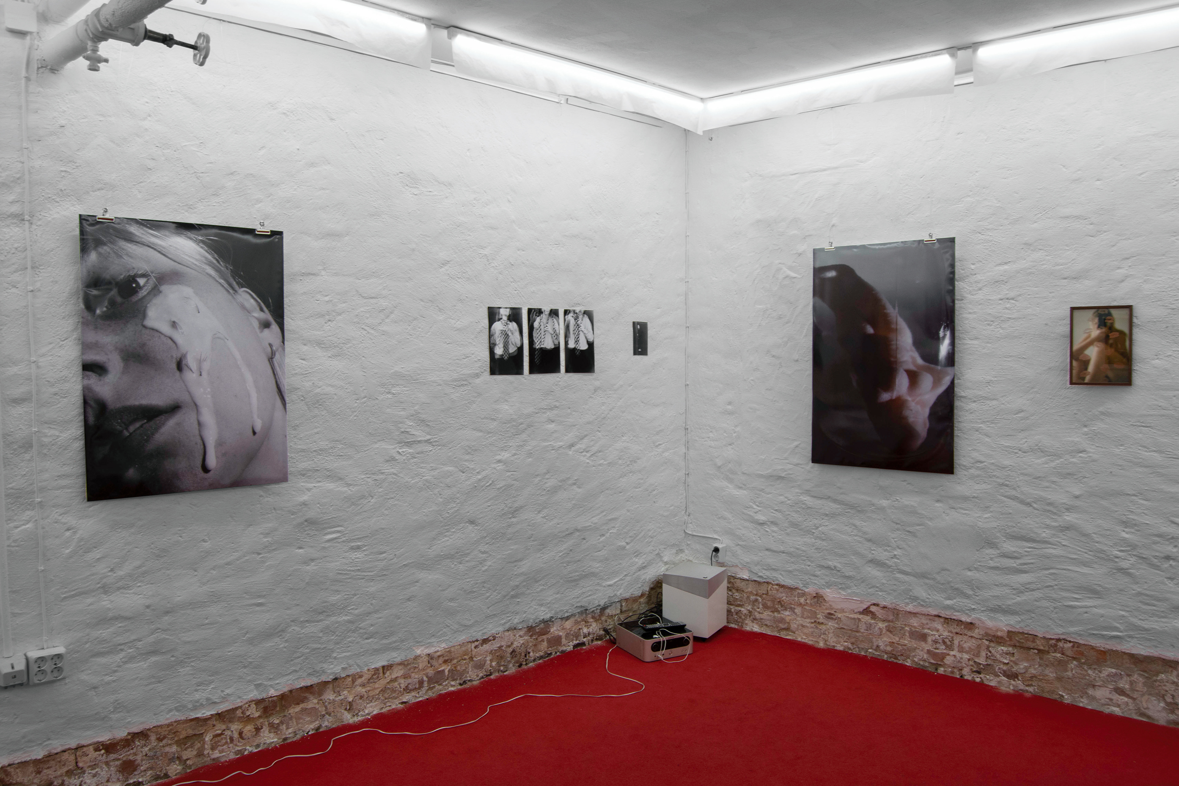 Pigesur w/ Clara Ketter, Secret Door Gallery