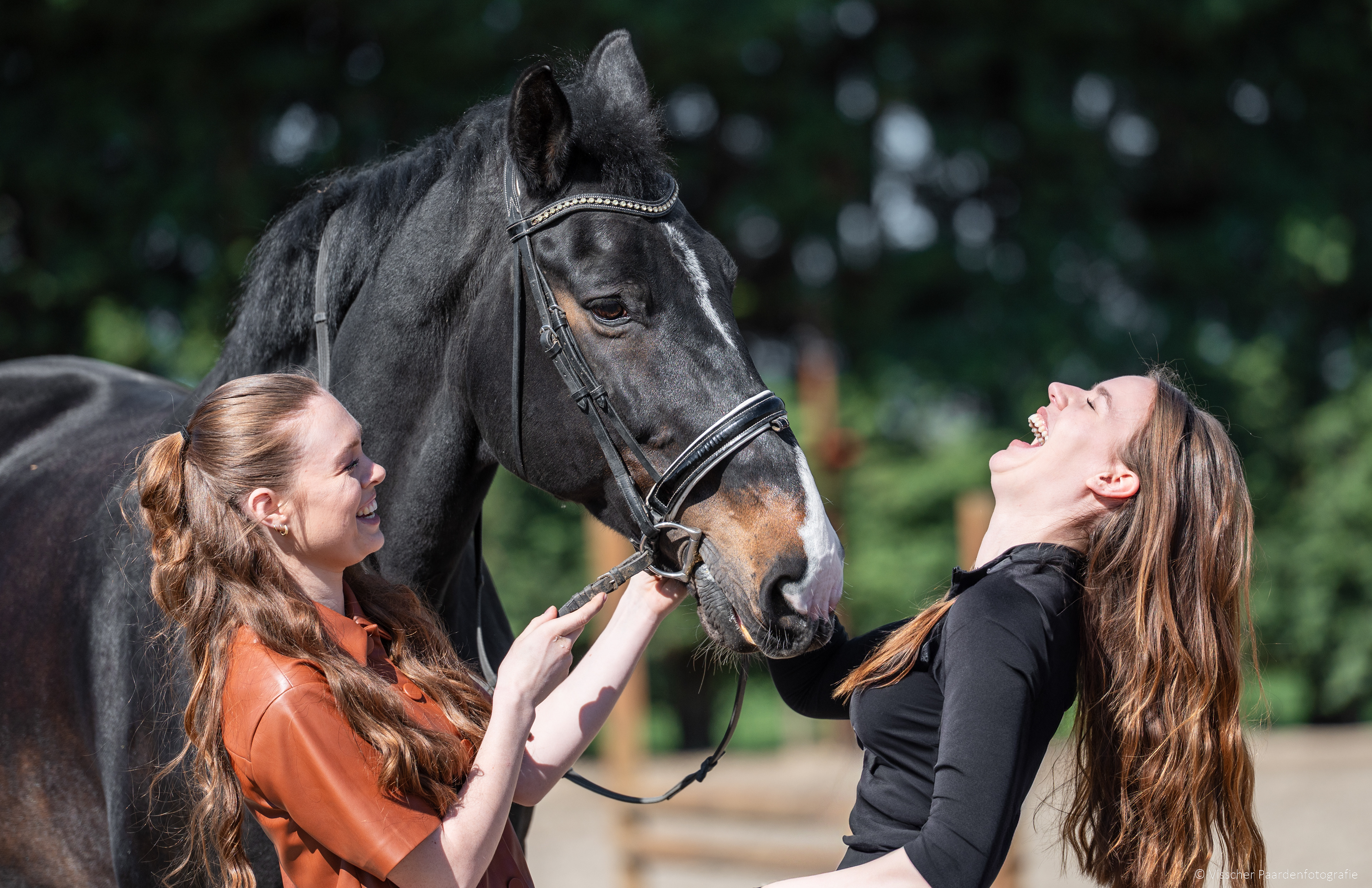 Lois en Isabel, en het paard van Lois : Quittance