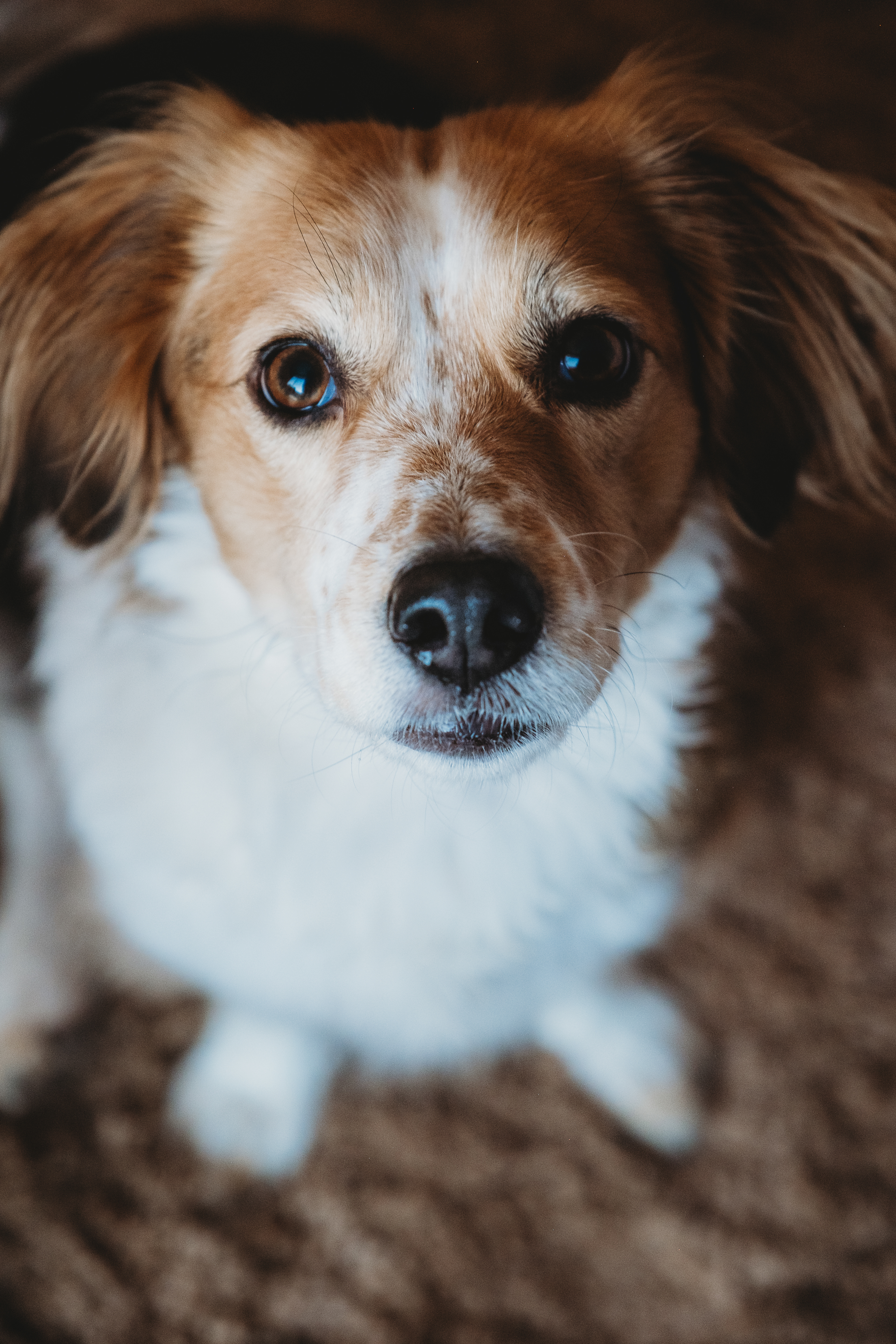 Winnie (aka Nay-Nay)