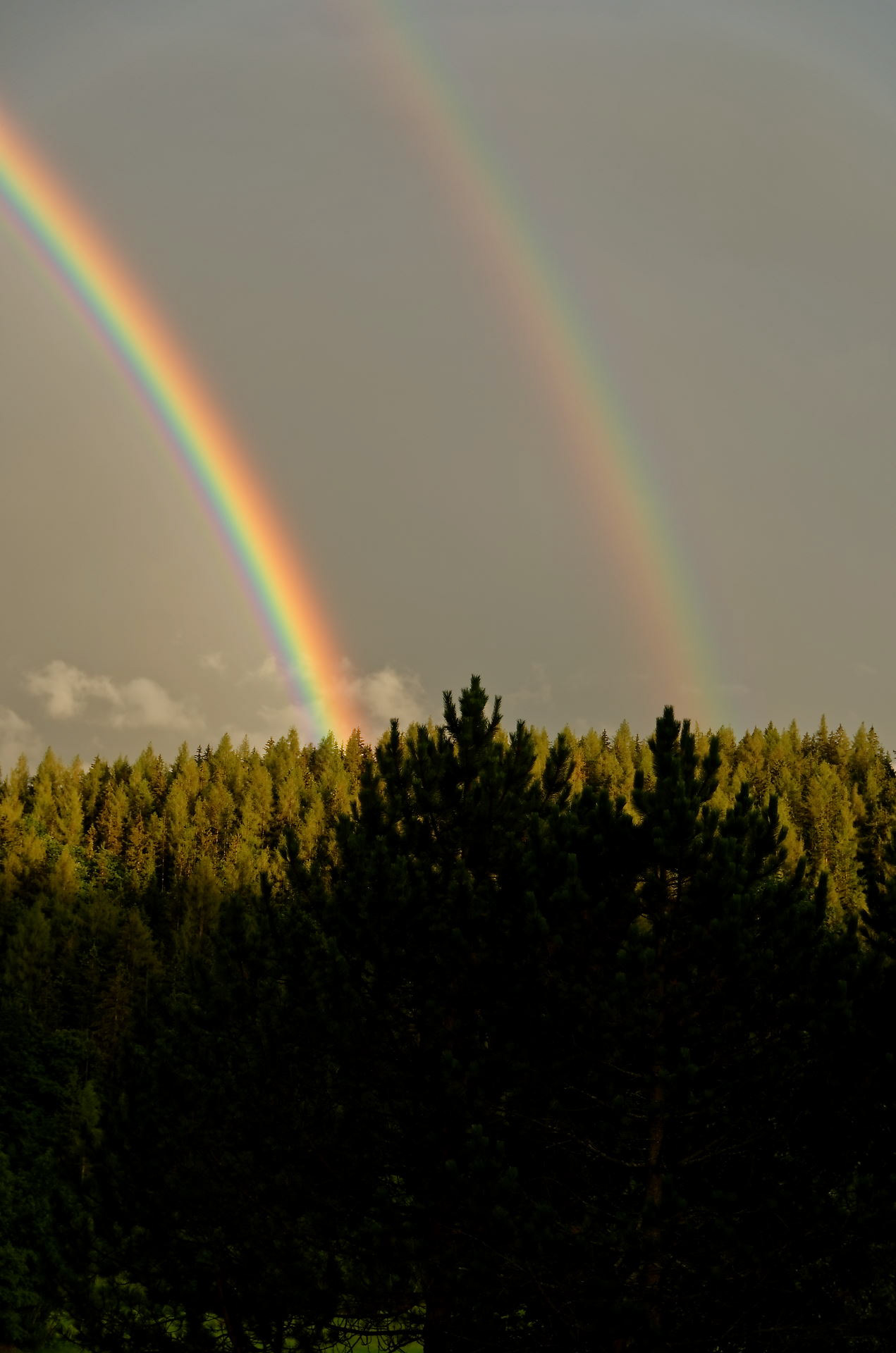 Doppelt hält besser