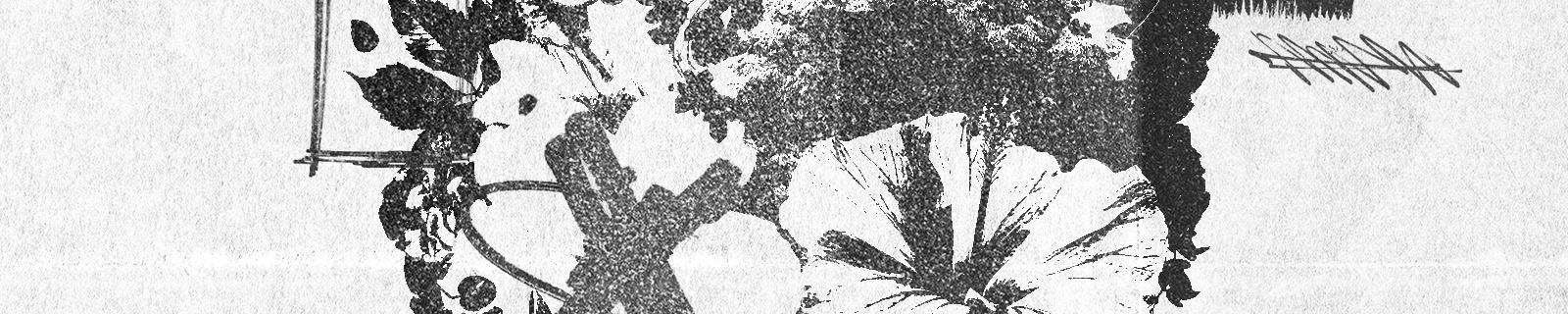 A zoom in of an abstract black and white design with flowers and abstract doodles.