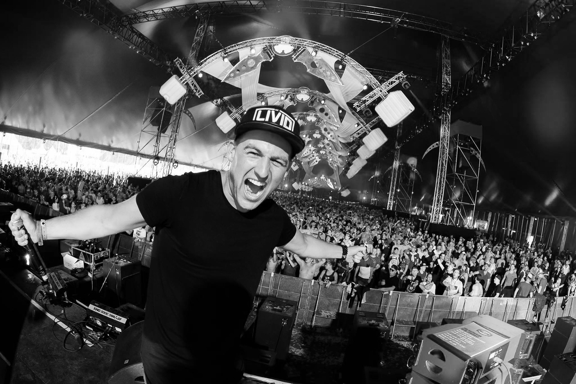 DJ performing at a music festival with a crowd of people and stage lights.