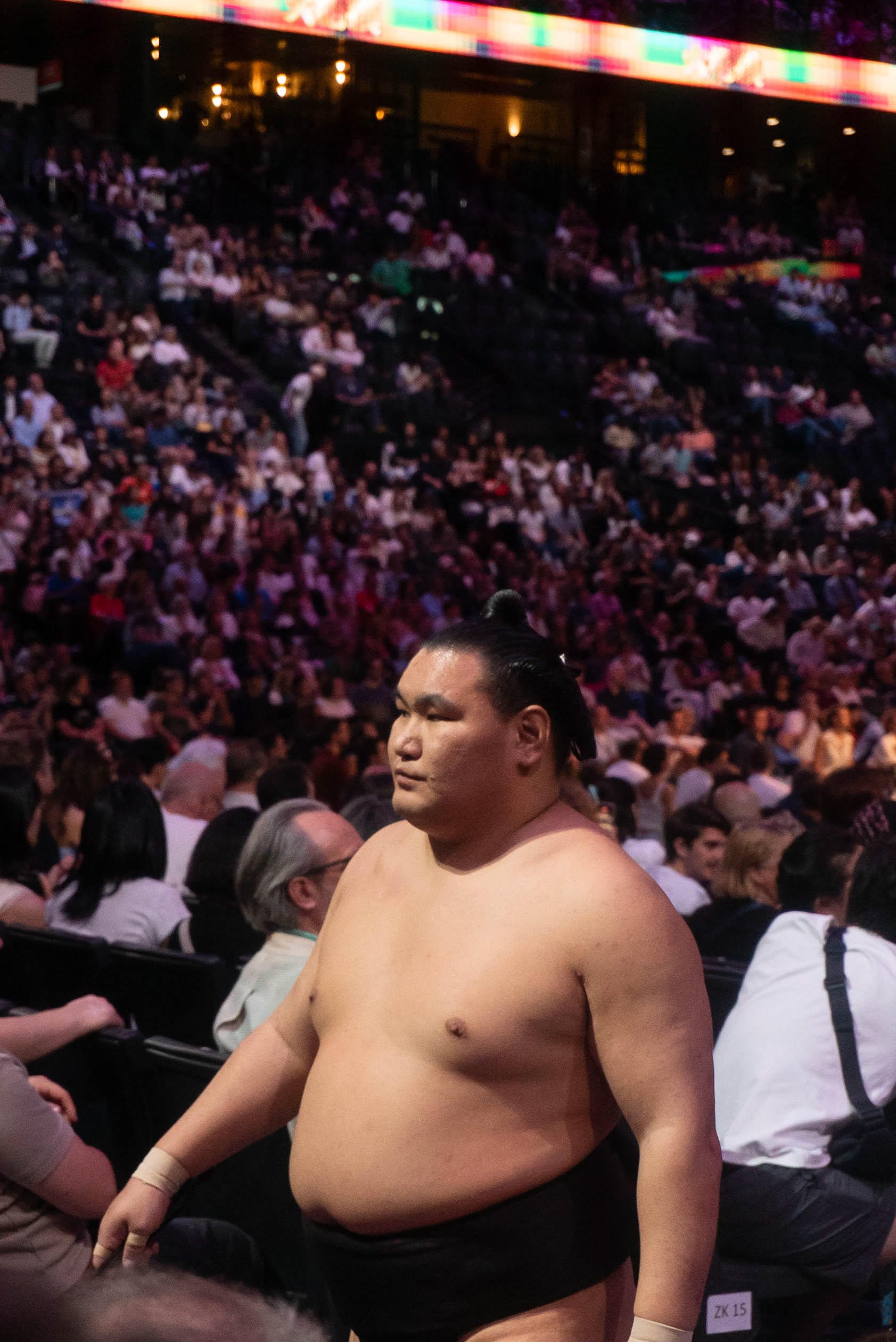 Le lutteur Hōshōryū Tomokatsu, l'un des deux seuls yokozuna du tournoi (plus haut rang atteignable dans le sumo).