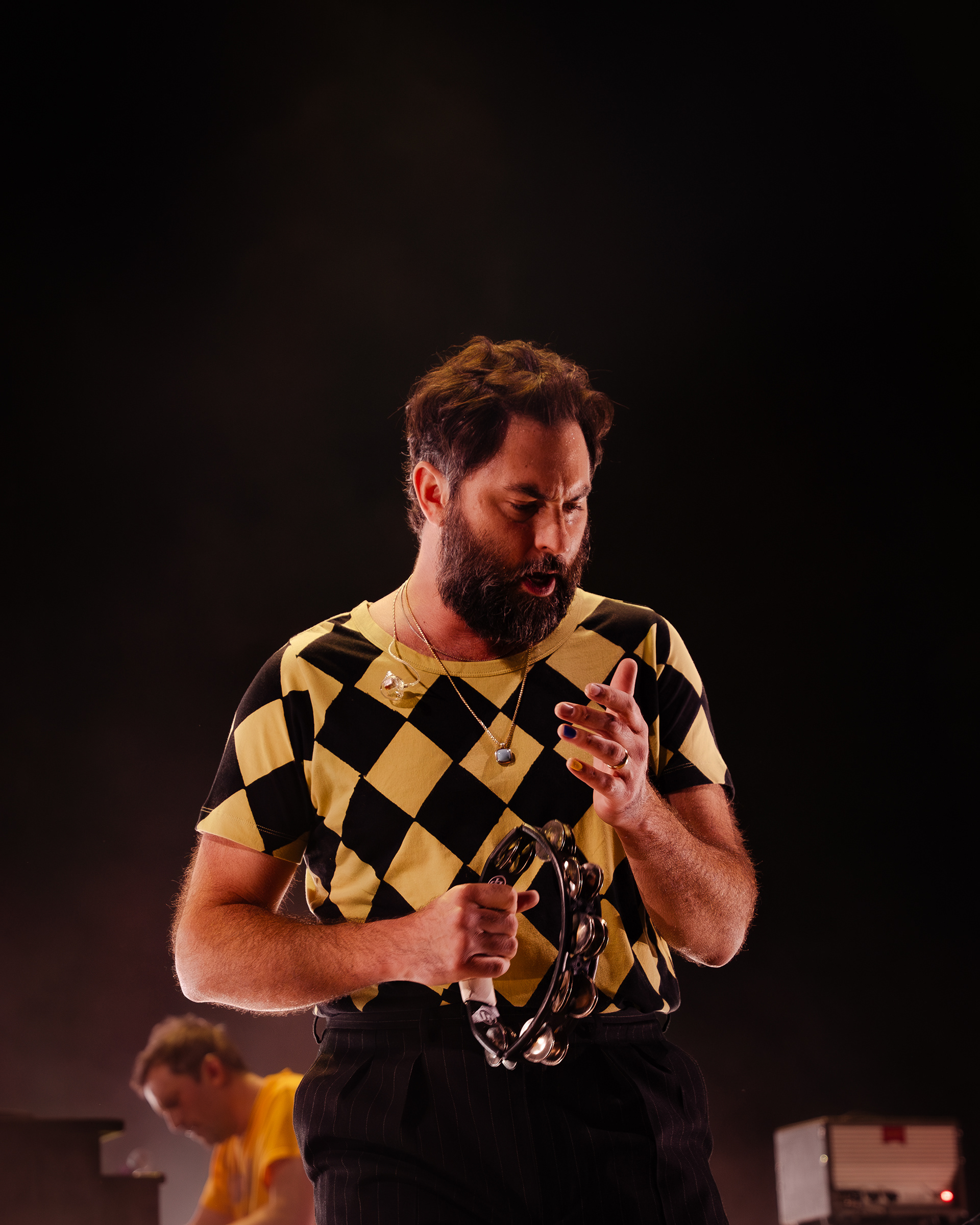 THE HEAD AND THE HEART TOUR