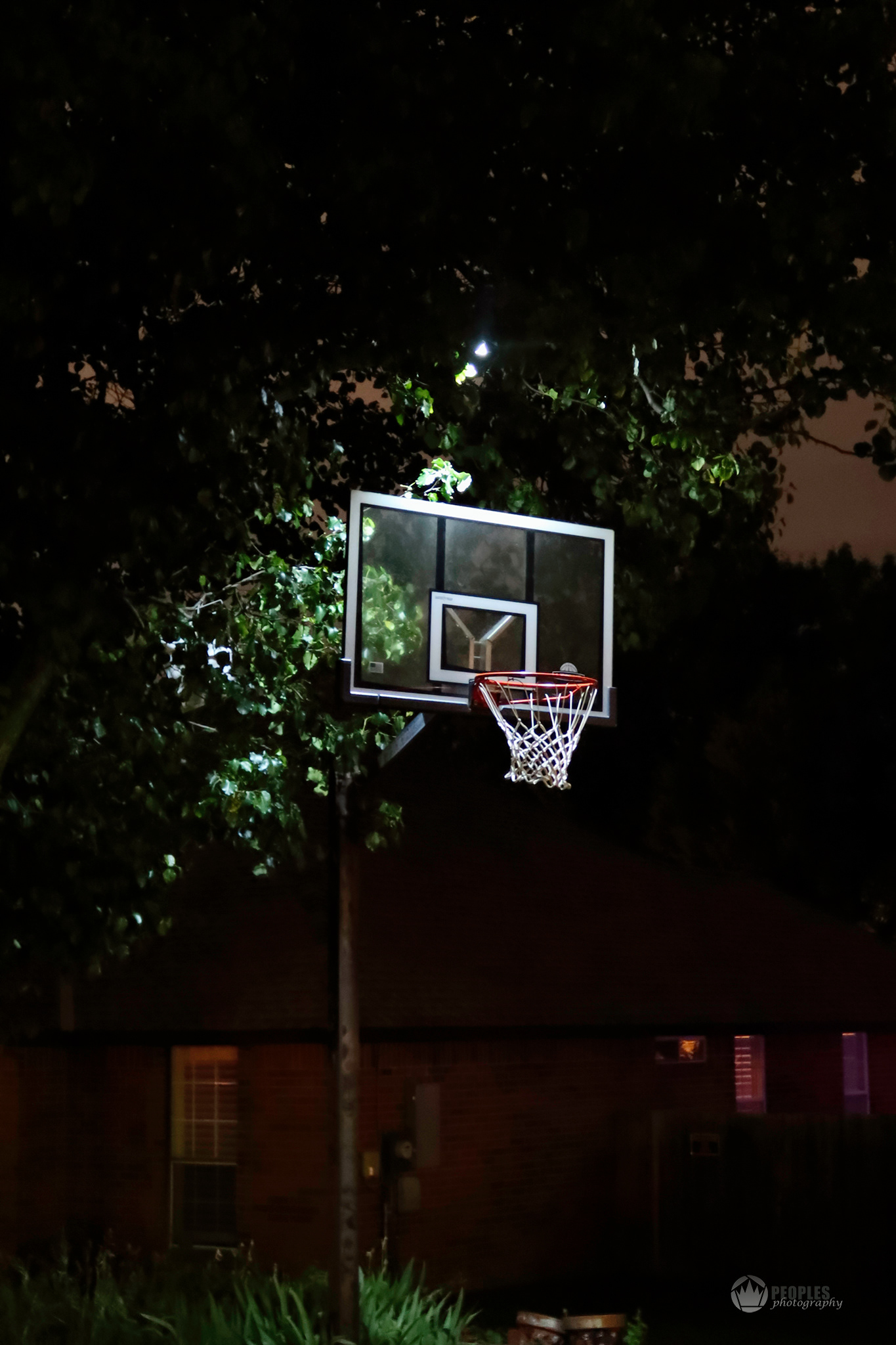 Basketball Hoop