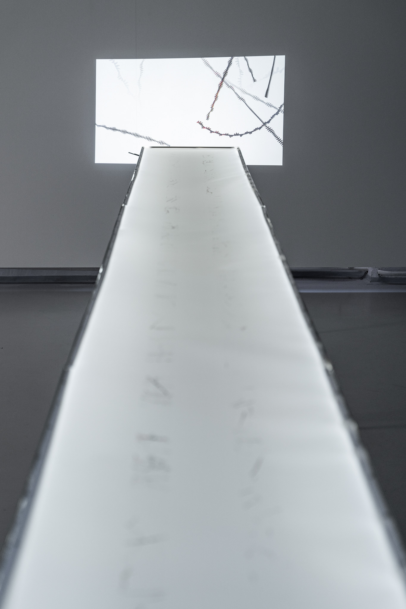 Michal Kindernay – Trajektorie #21 Vlaštovky & Jiřičky, 12. 9. 2020, generovaná kresba 600x50 cm, video