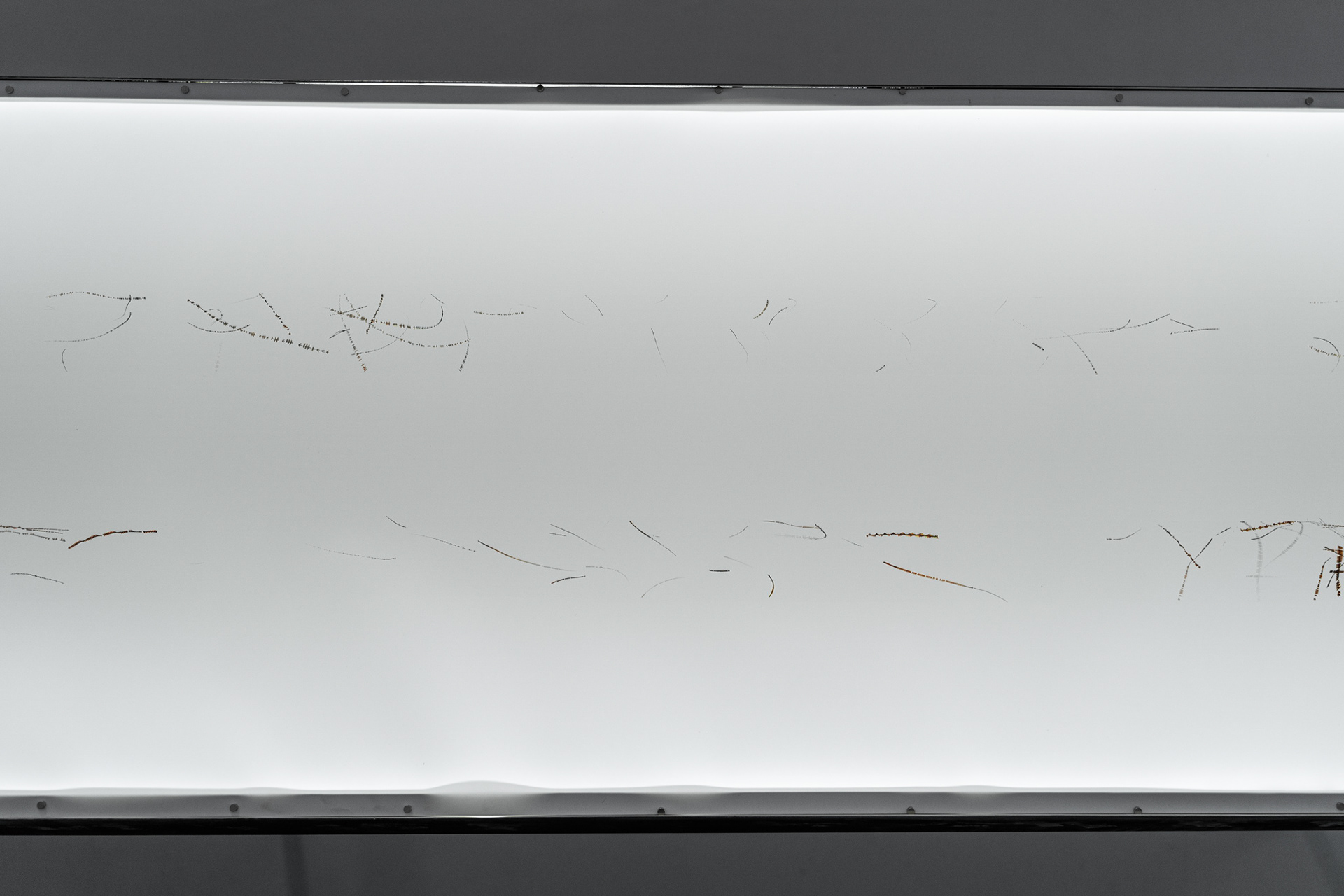 Michal Kindernay – Trajektorie #21 Vlaštovky & Jiřičky, 12. 9. 2020, generovaná kresba 600x50 cm, video