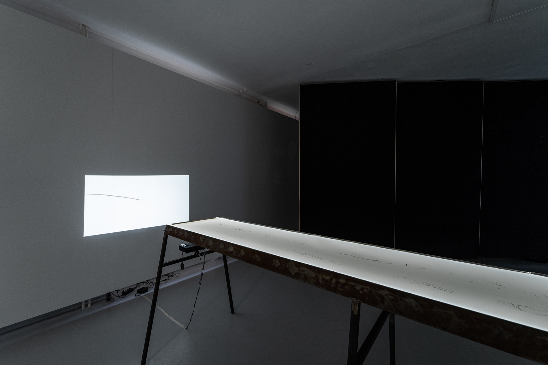 Michal Kindernay – Trajektorie #21 Vlaštovky & Jiřičky, 12. 9. 2020, generovaná kresba 600x50 cm, video
