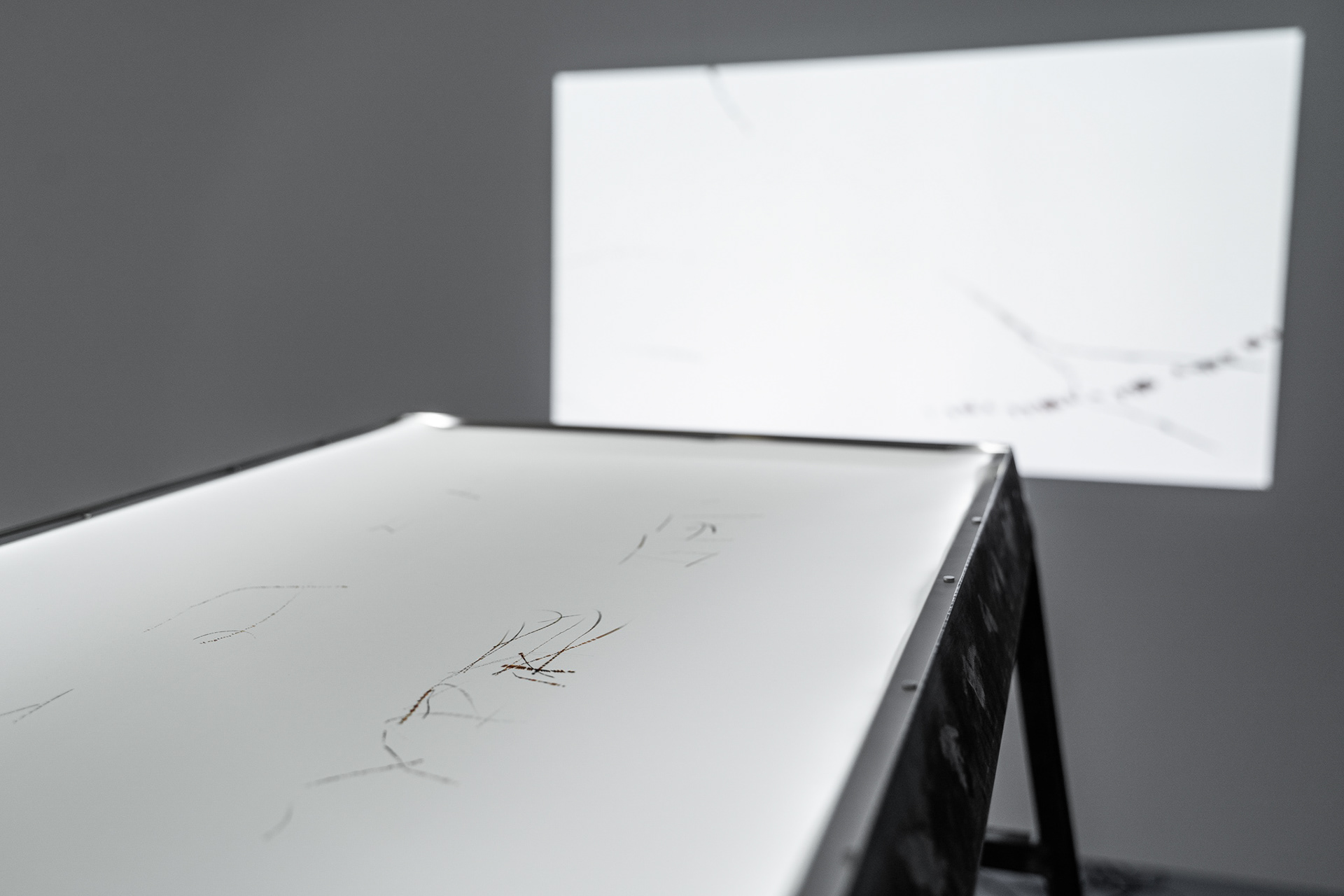 Michal Kindernay – Trajektorie #21 Vlaštovky & Jiřičky, 12. 9. 2020, generovaná kresba 600x50 cm, video