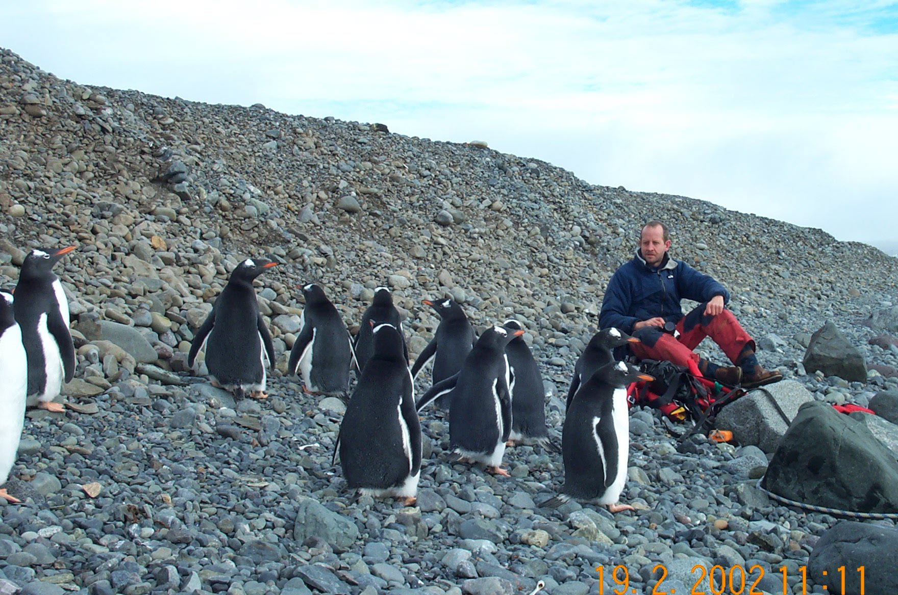 Mike making friends with Gentoos