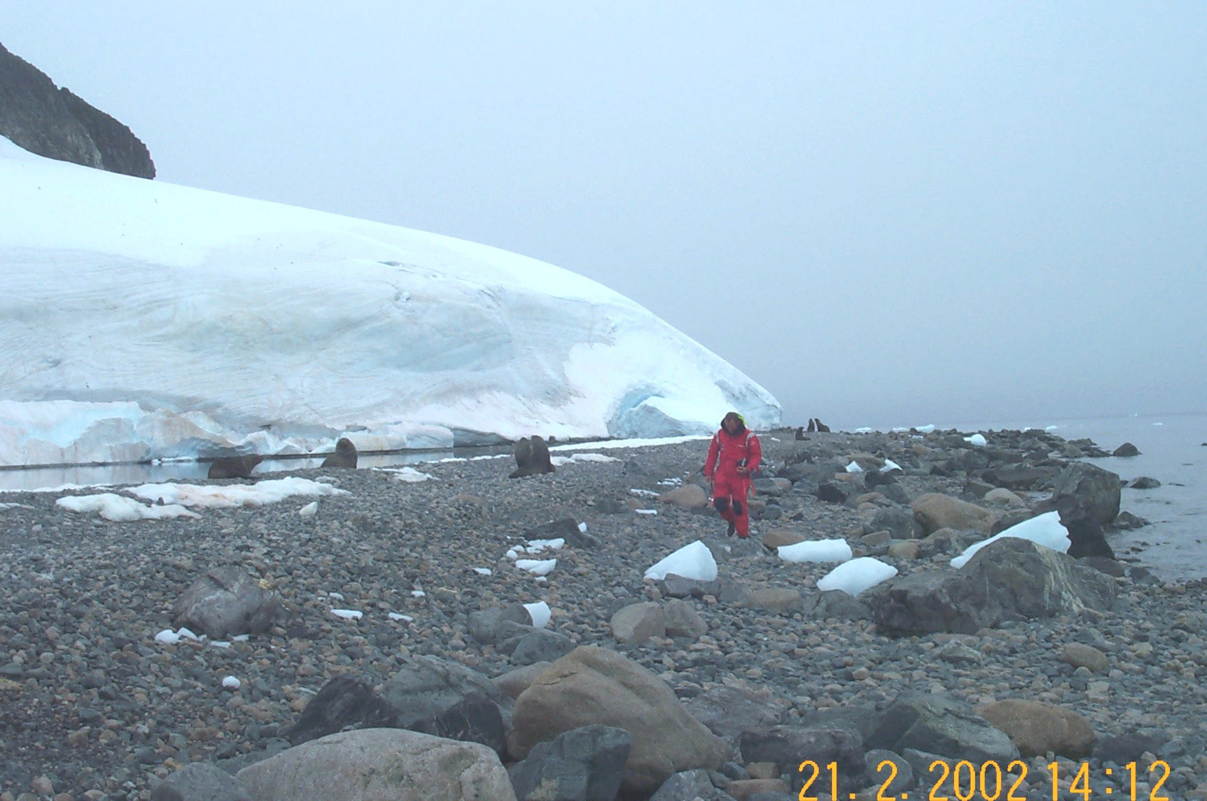 On shore with fur seals