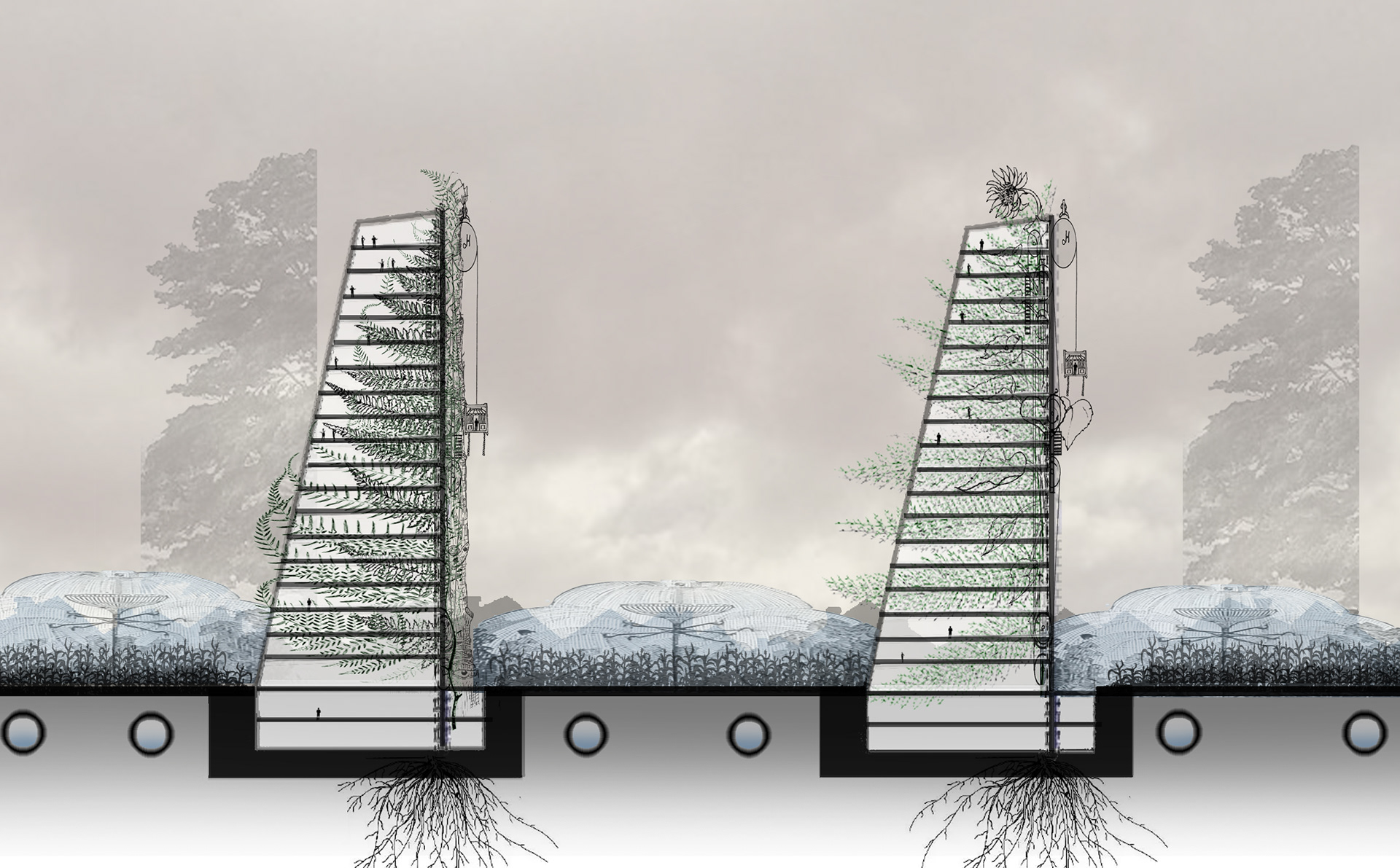 NODE SECTION - VERTICAL FARMS