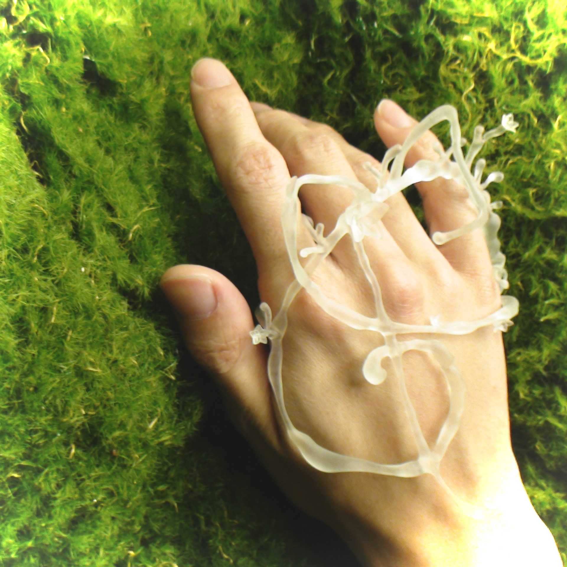 Spiral hand adornment prototype. 2025. 3D-printed resin.