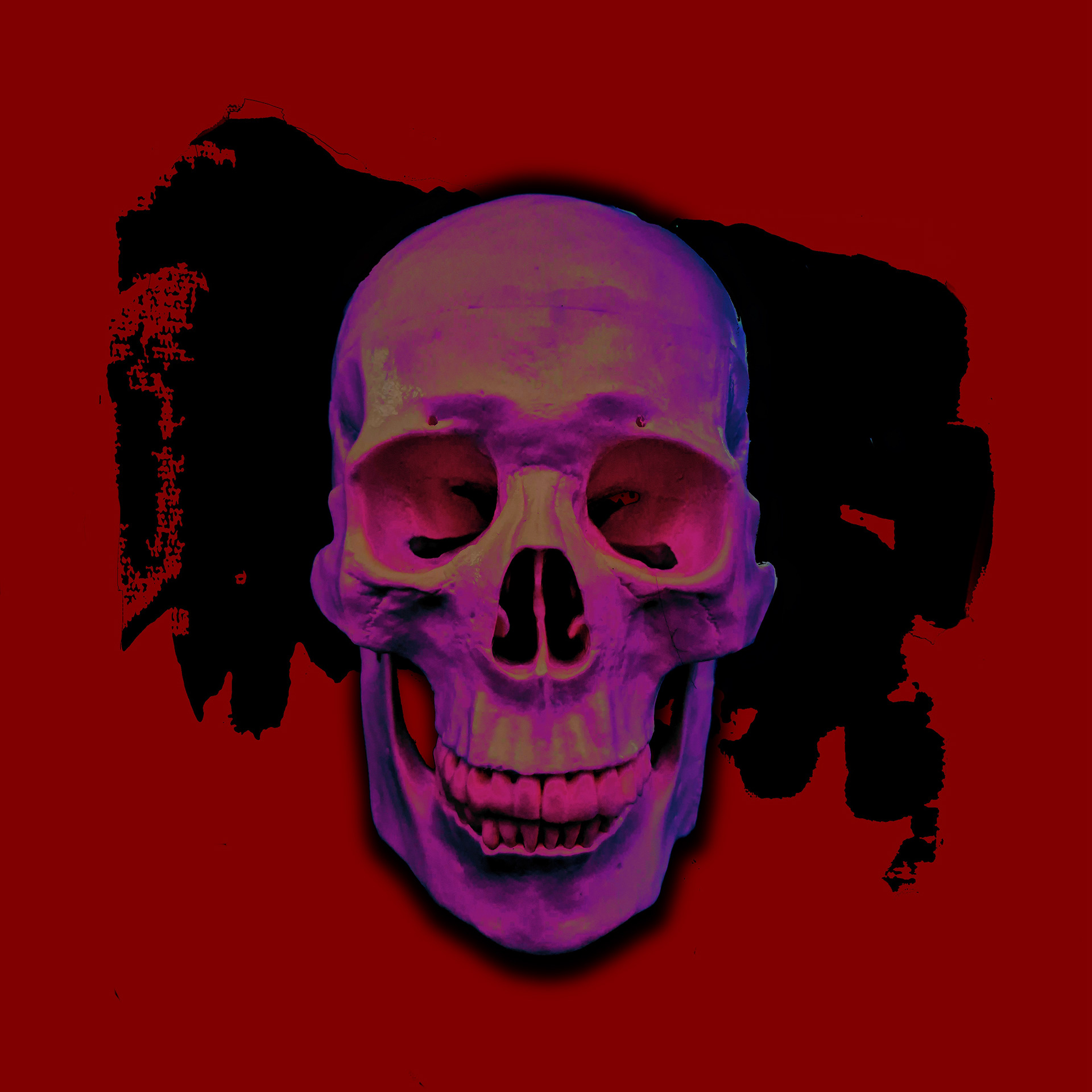 Album Insert