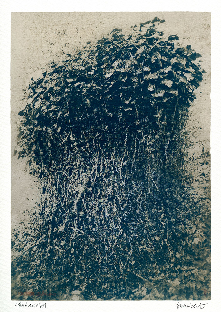 Cyanotype sur papier Montval A3. Cyano insolation 5mn, tonification au café 15mn, blanchiment ammoniaque ménager 5s.