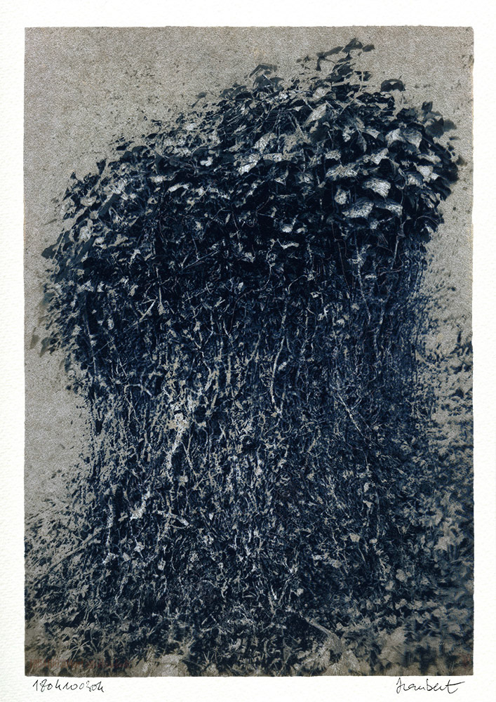 Cyanotype sur papier Wenzhou 35 gr, contrecollé sur Montval A3. Réhauts Tempera. Souche de Frêne.