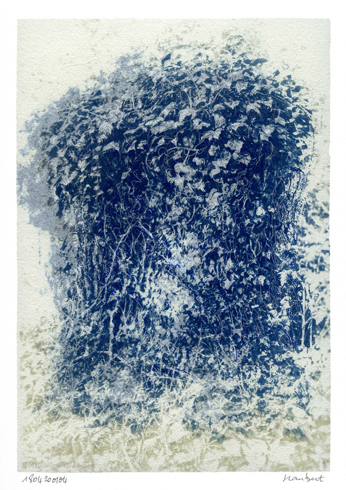 Cyanotype sur papier Wenzhou 35 gr, avec réhauts. Souche de Frêne.