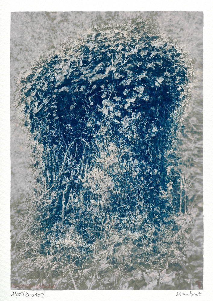 Cyanotype sur papier Montval. Cyano 5mn, tonification au café 10mn, blanchiment ammoniaque 5s. Souche de Frêne. Hommage au graveur Rodolphe Bresdin. Bresdin puise son inspiration dans sa propre imagination ou dans les romans d'aventures qui enrichissent son quotidien. Il est un lecteur assidu de Fenimore Cooper, dont un des héros est Chingachgook, dit "Chien-Caillou".