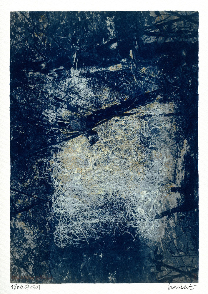 Cyanotype sur papier Wenzhou 35 gr, contrecollé sur Montval A3. Réhauts Tempera et craie. Le cocon.