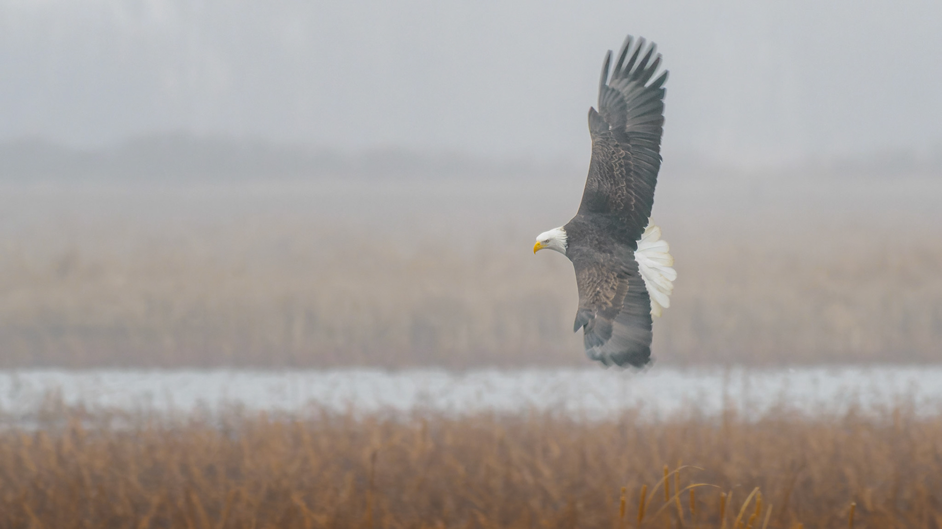 Jim Jones, Photographer