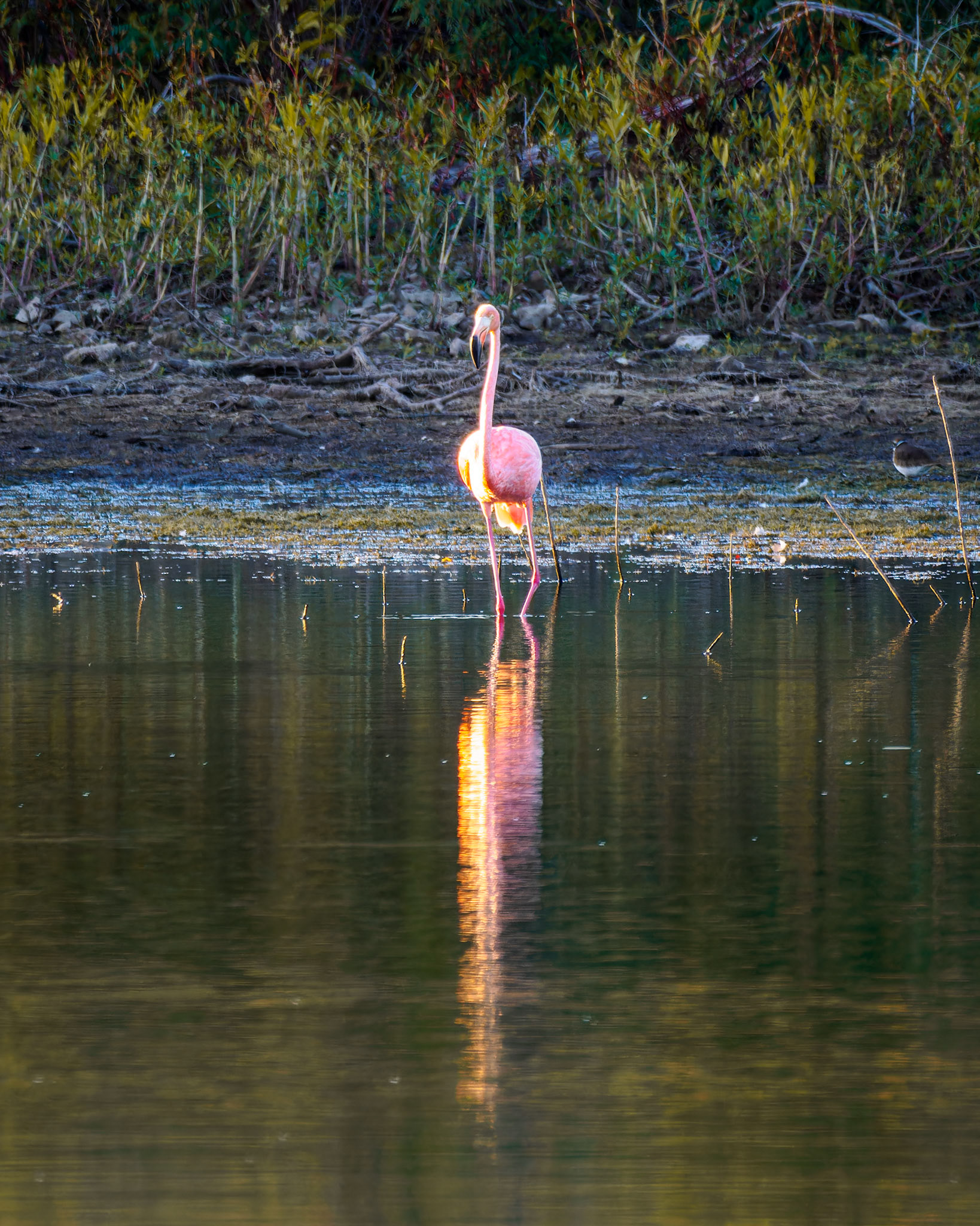 Jim Jones, Photographer