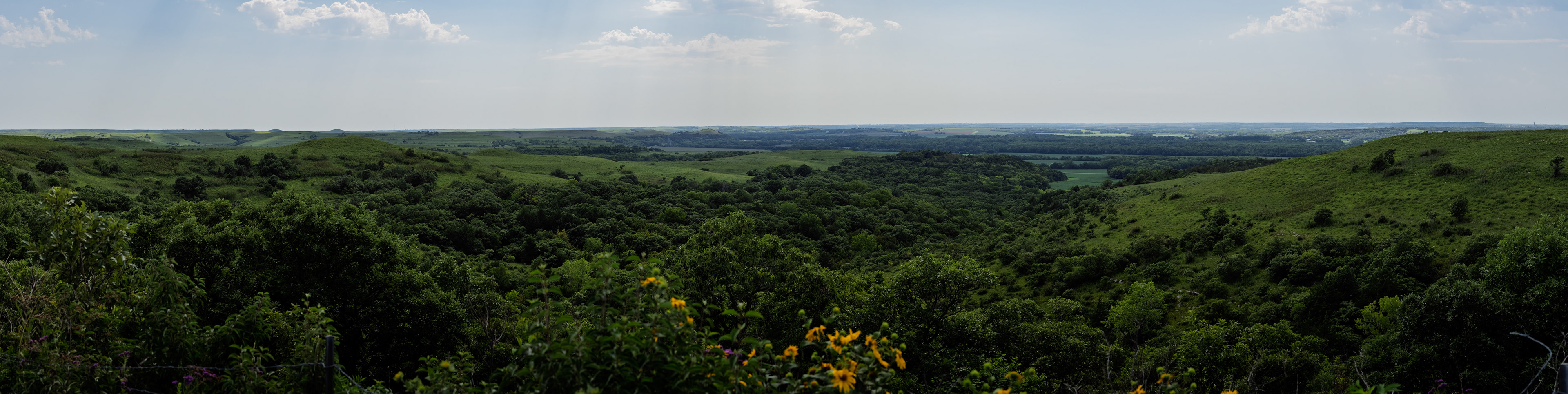 Jim Jones, Photographer