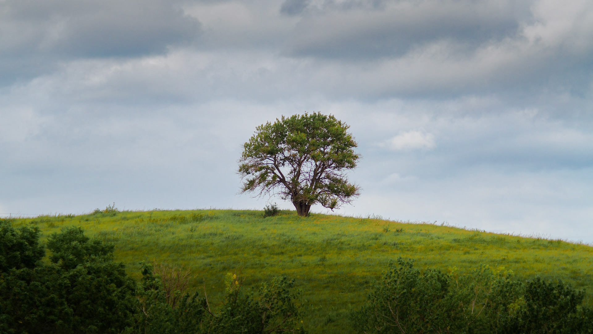 Jim Jones, Photographer