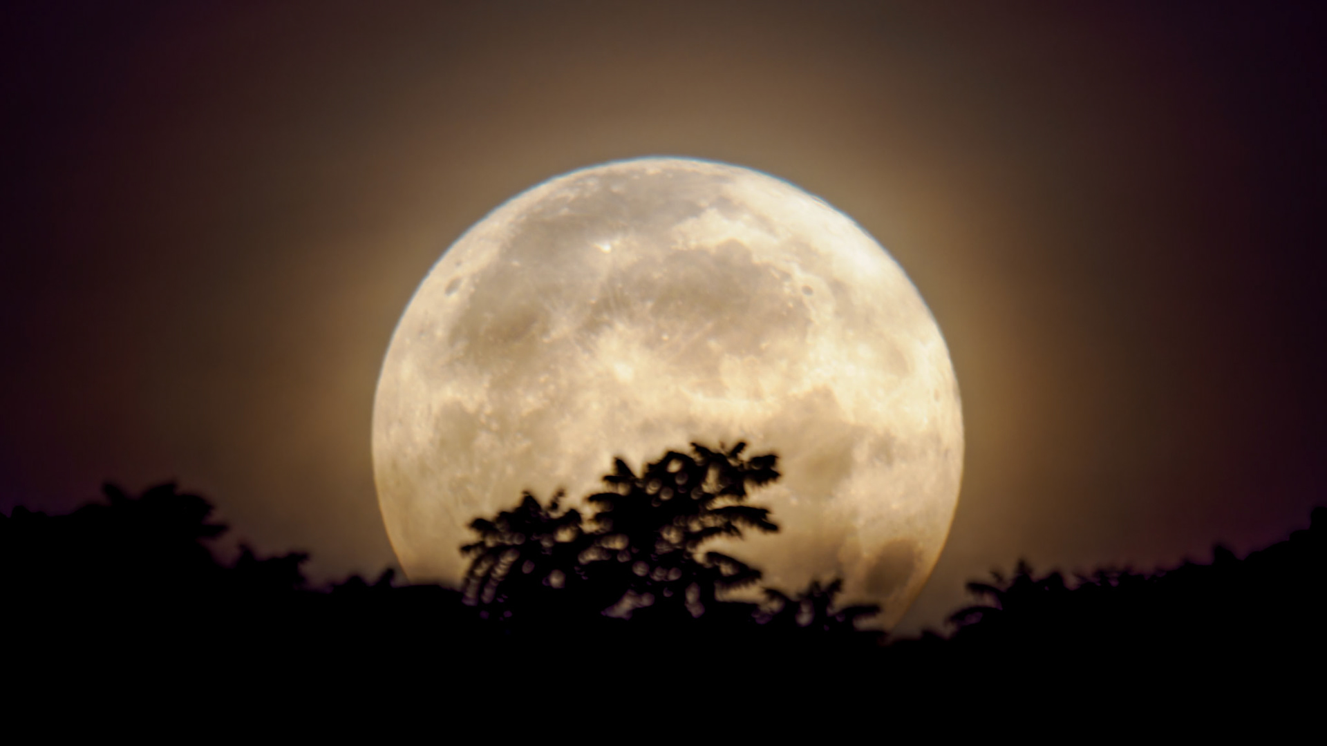 Jim Jones, Photographer