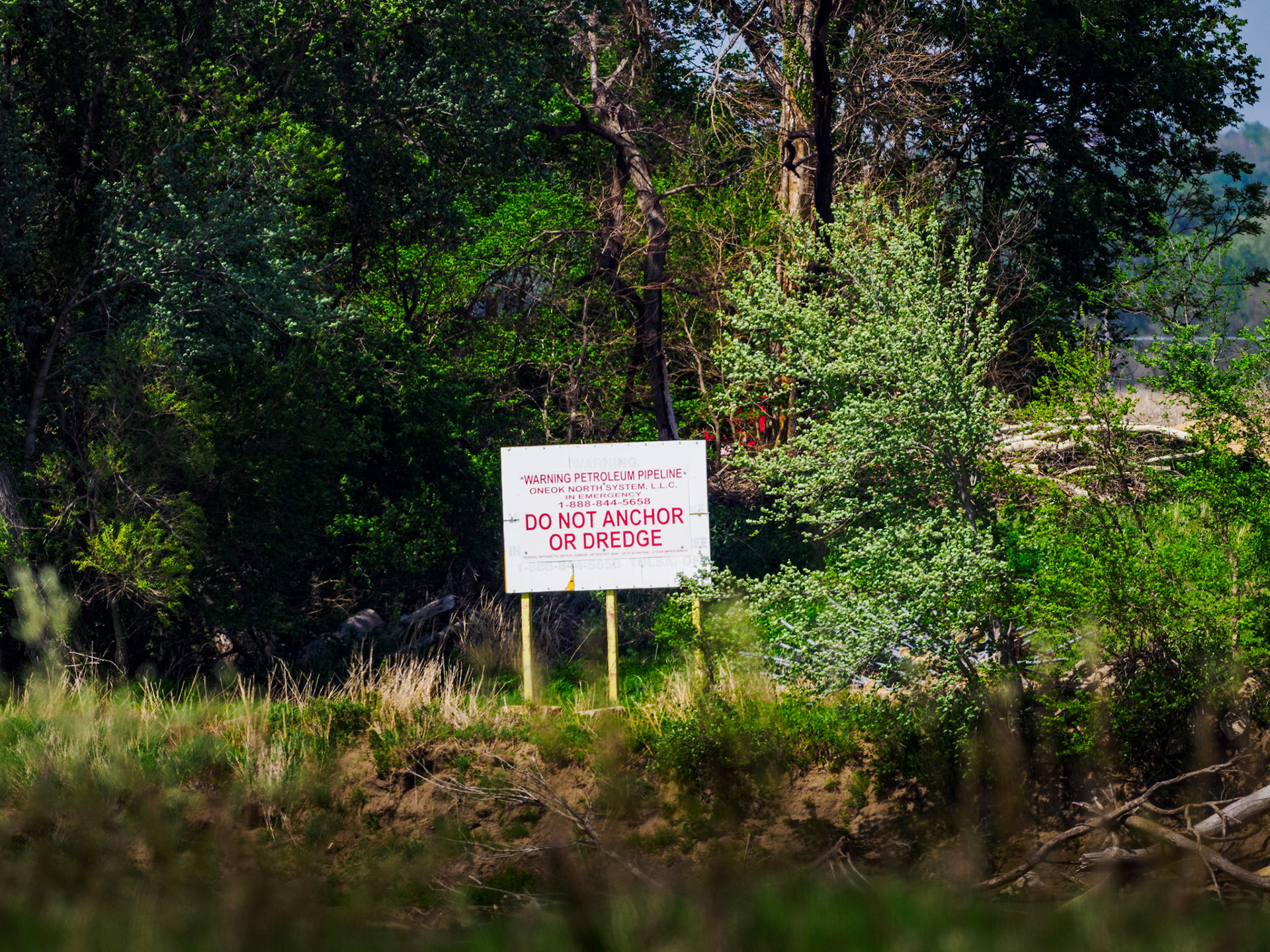 Jim Jones, Photographer