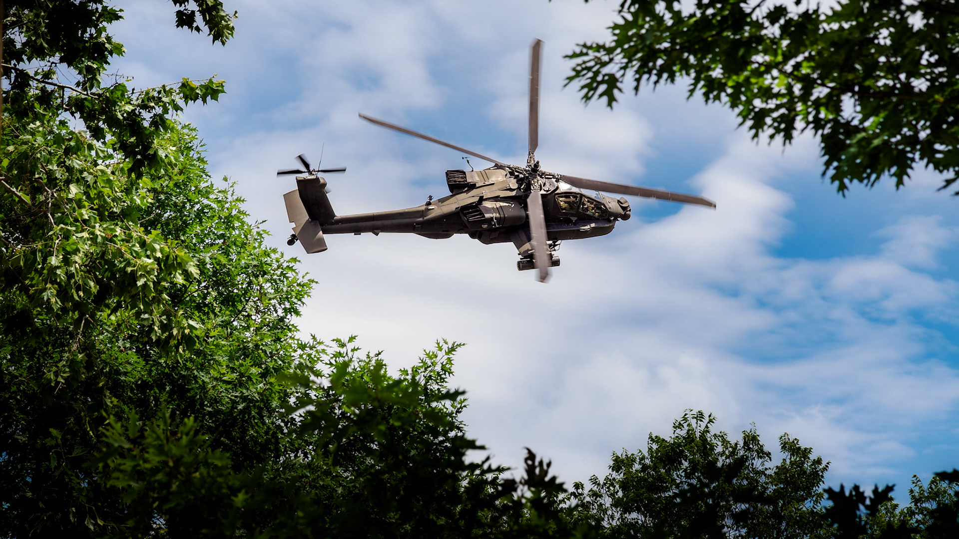 Jim Jones, Photographer