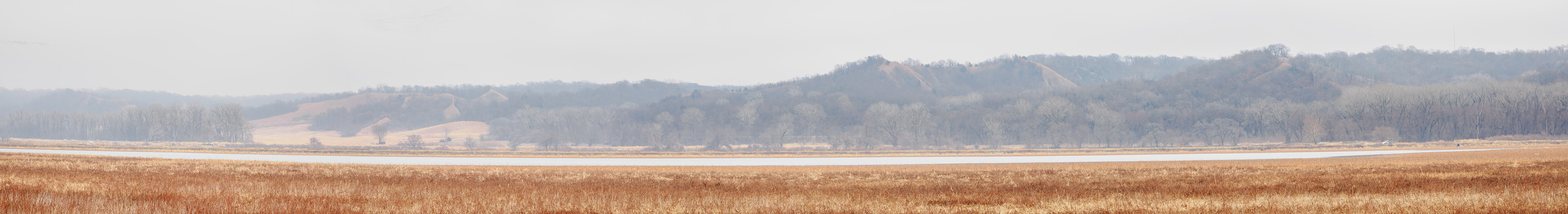 Jim Jones, Photographer