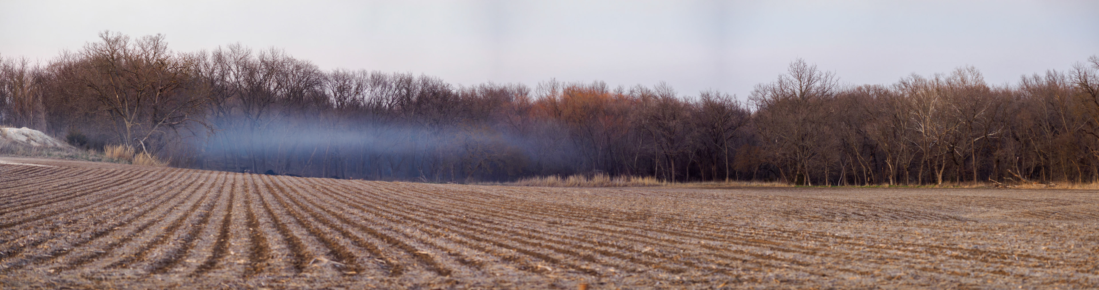 Jim Jones, Photographer