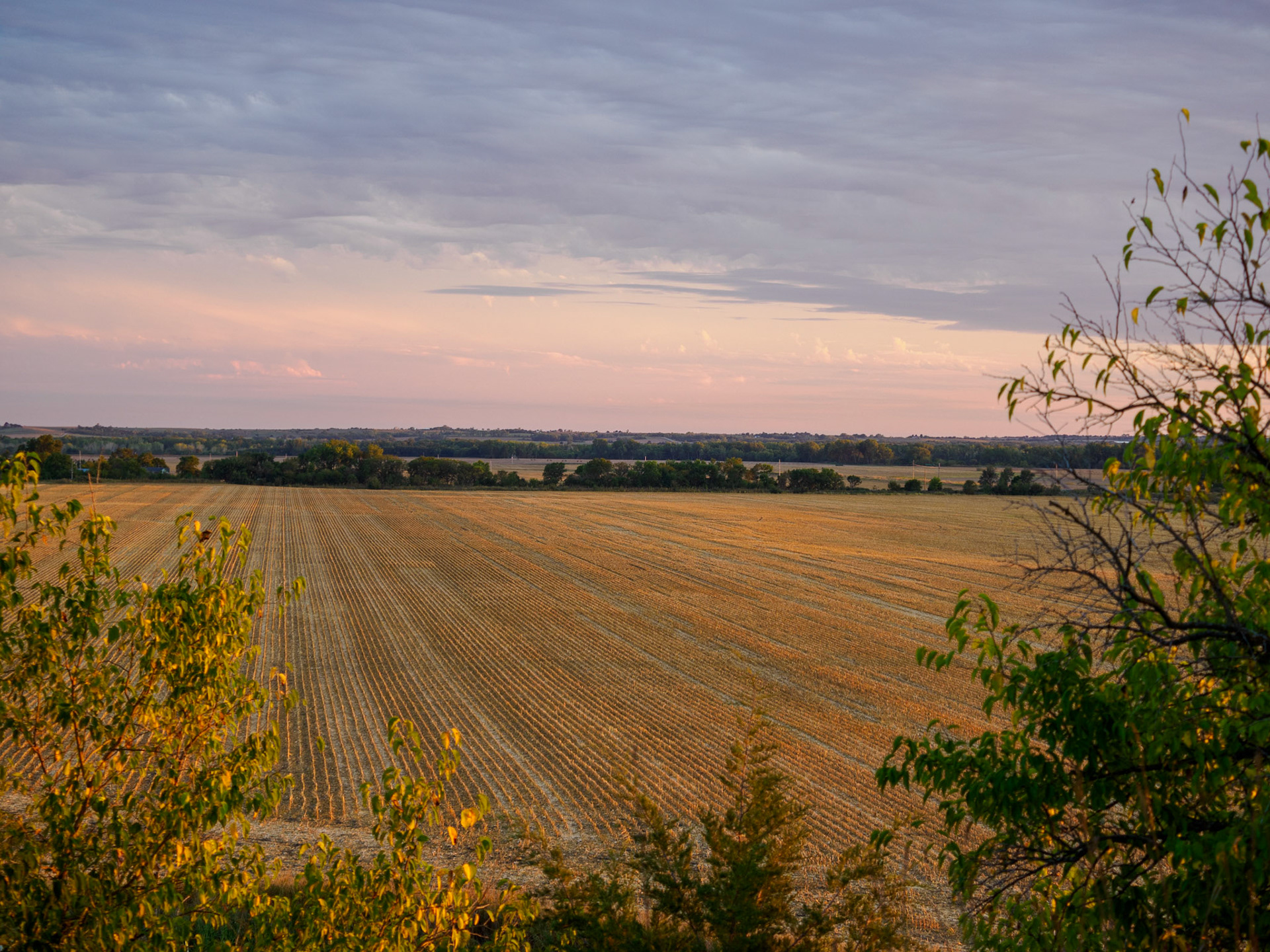 Jim Jones, Photographer