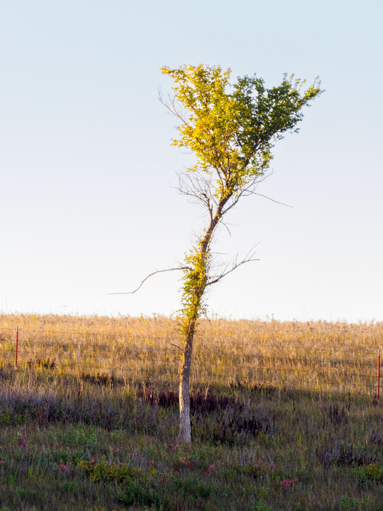 Jim Jones, Photographer