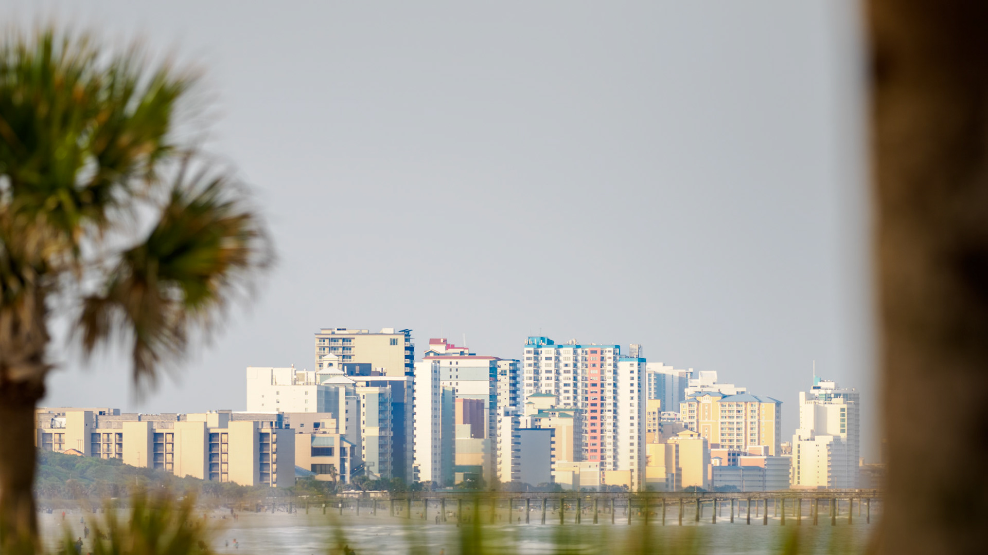 Jim Jones, Photographer