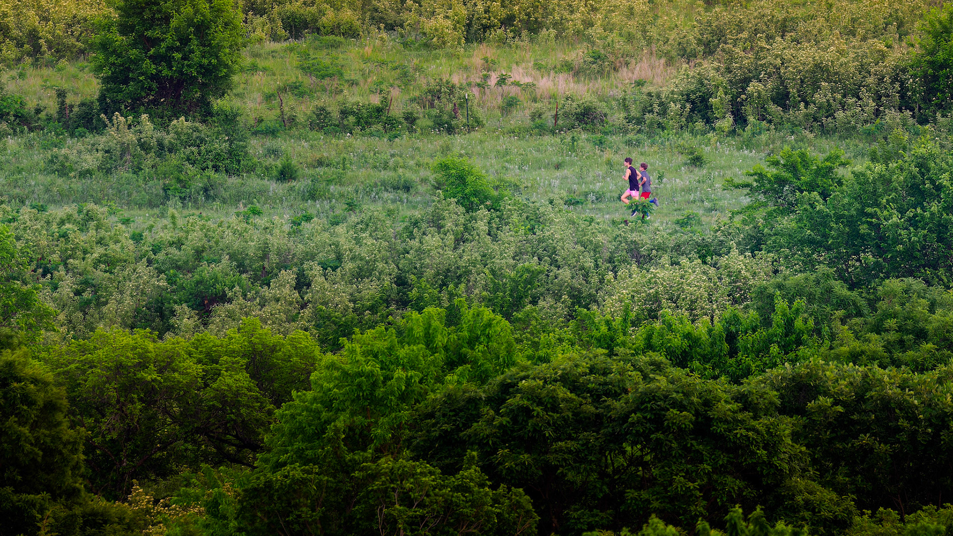 Jim Jones, Photographer