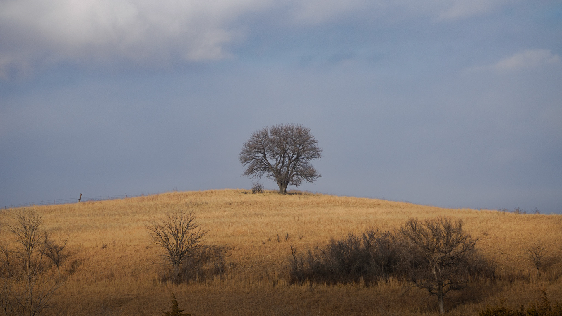 Jim Jones, Photographer