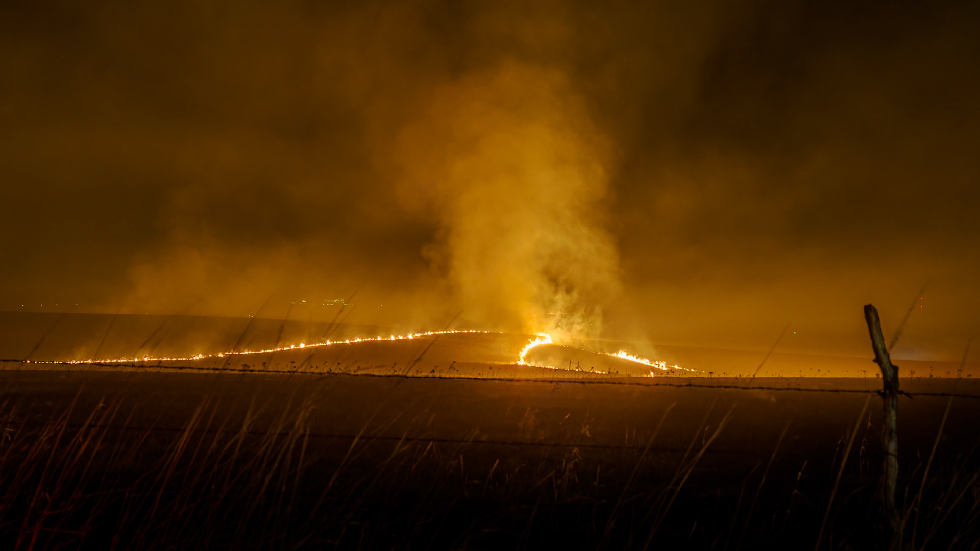 Jim Jones, Photographer