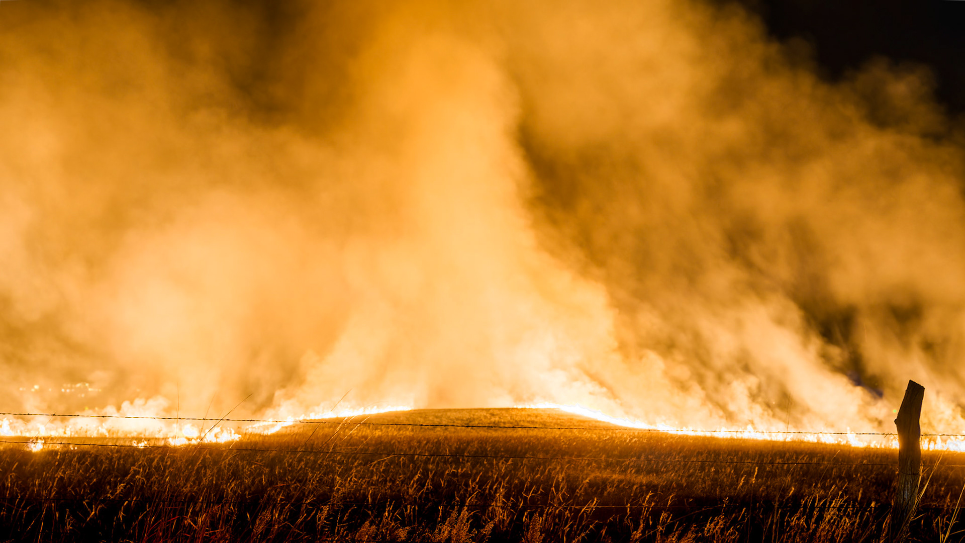 Jim Jones, Photographer