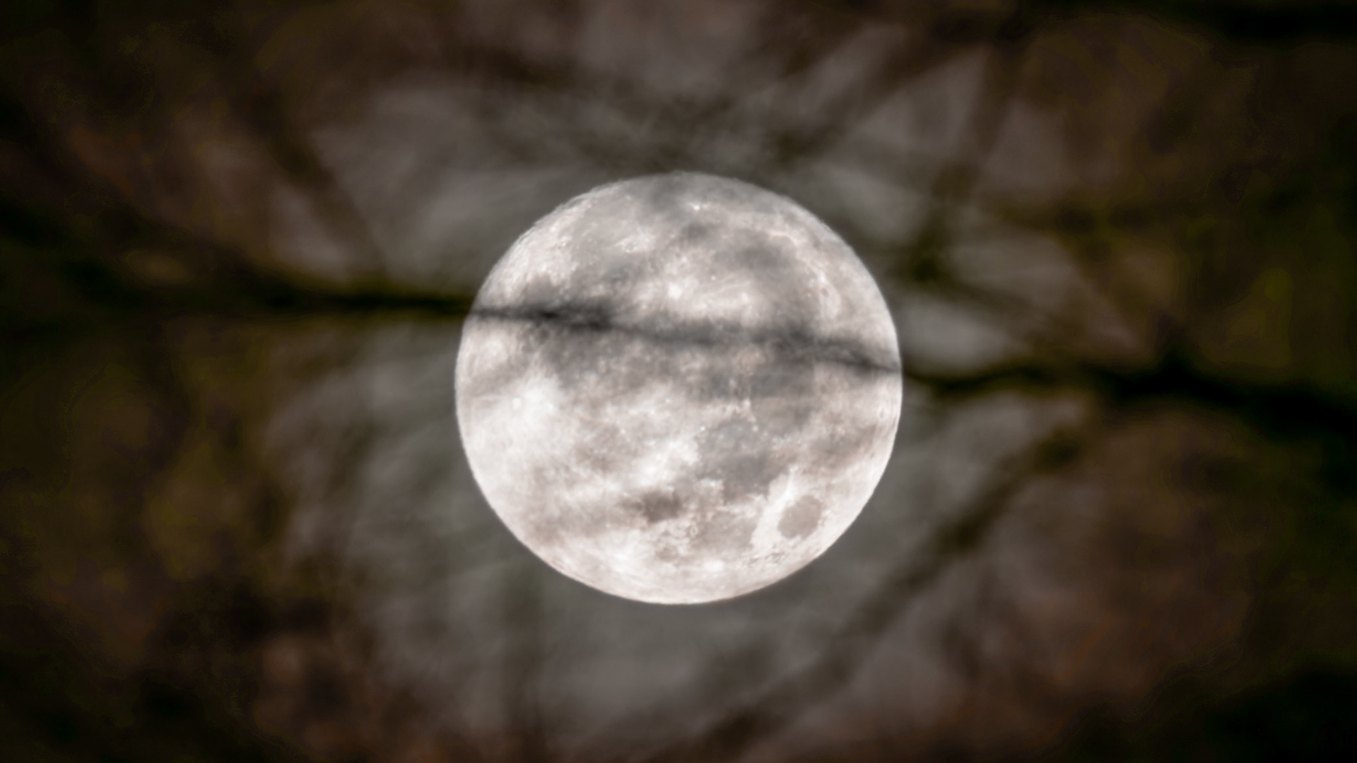 Jim Jones, Photographer