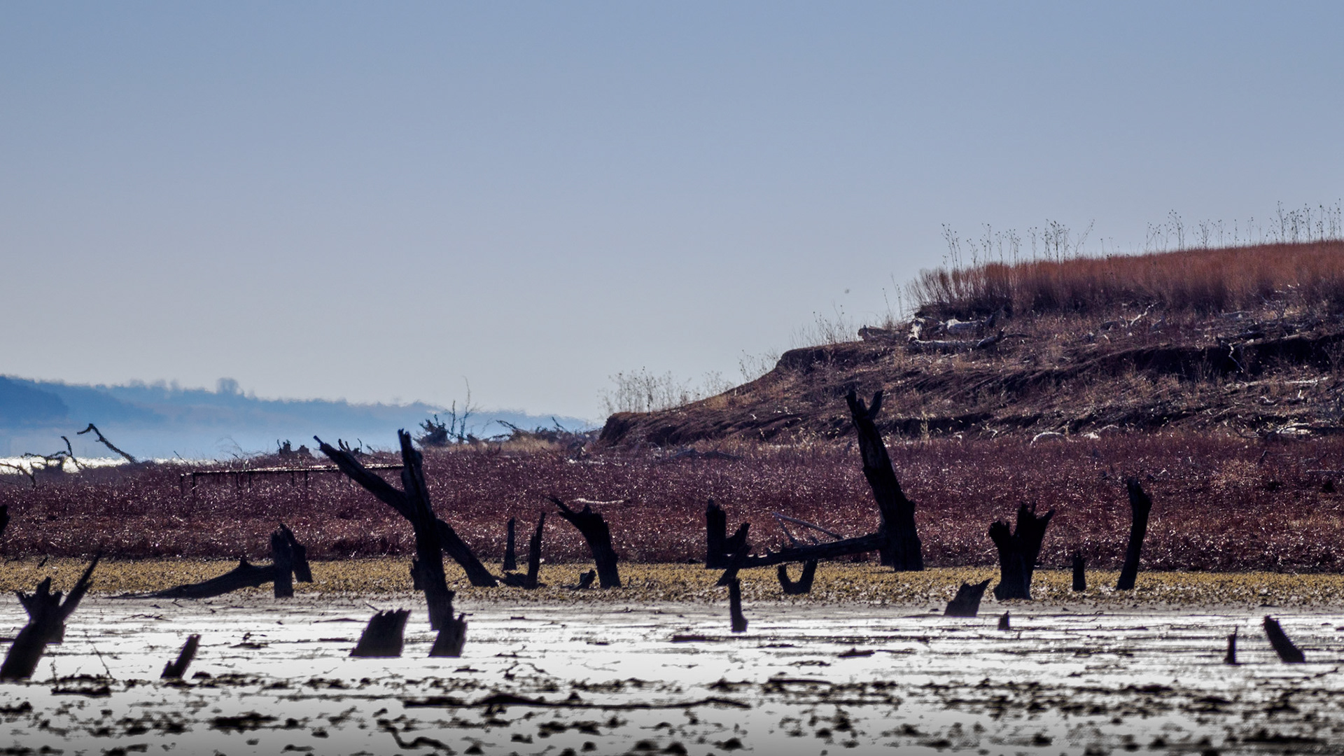 Jim Jones, Photographer