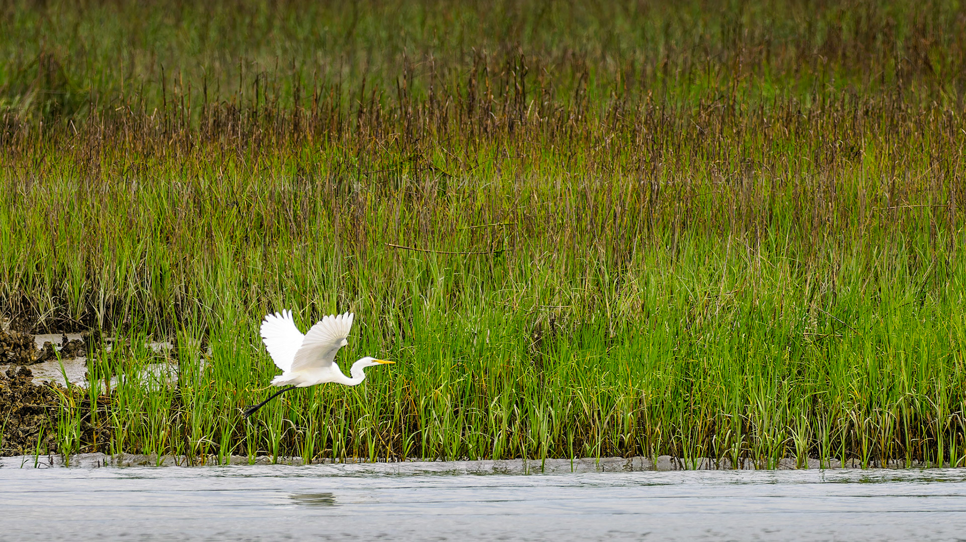 Jim Jones, Photographer