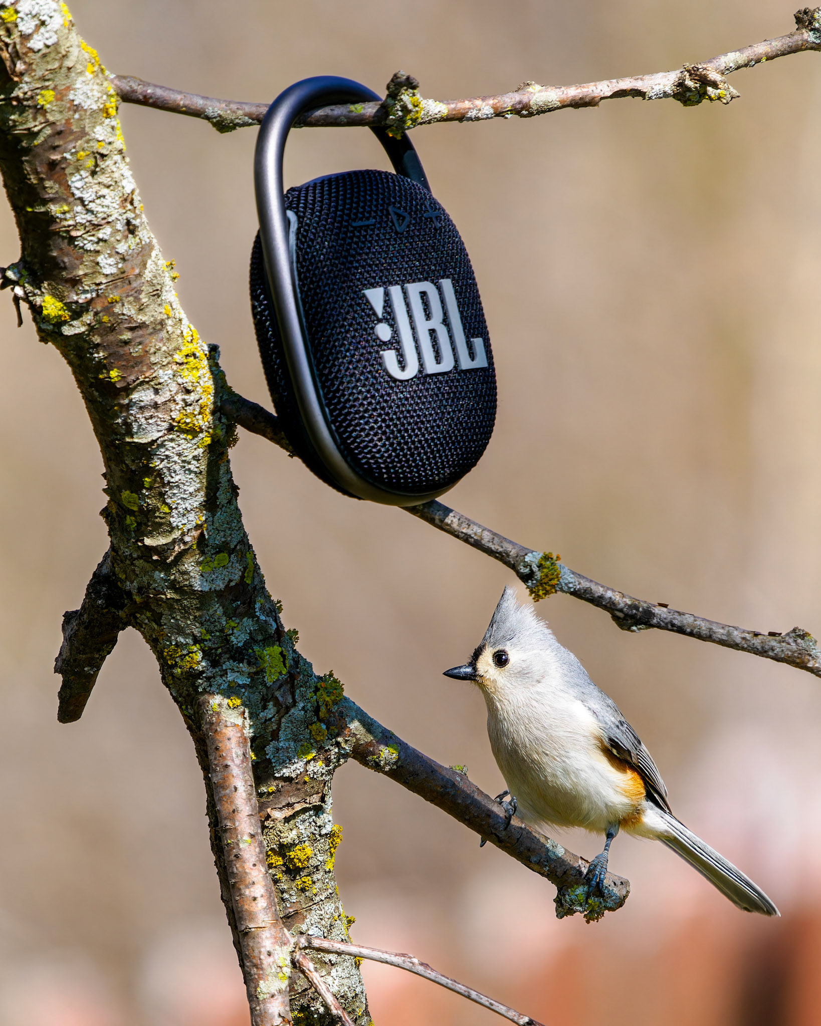 Jim Jones, Photographer