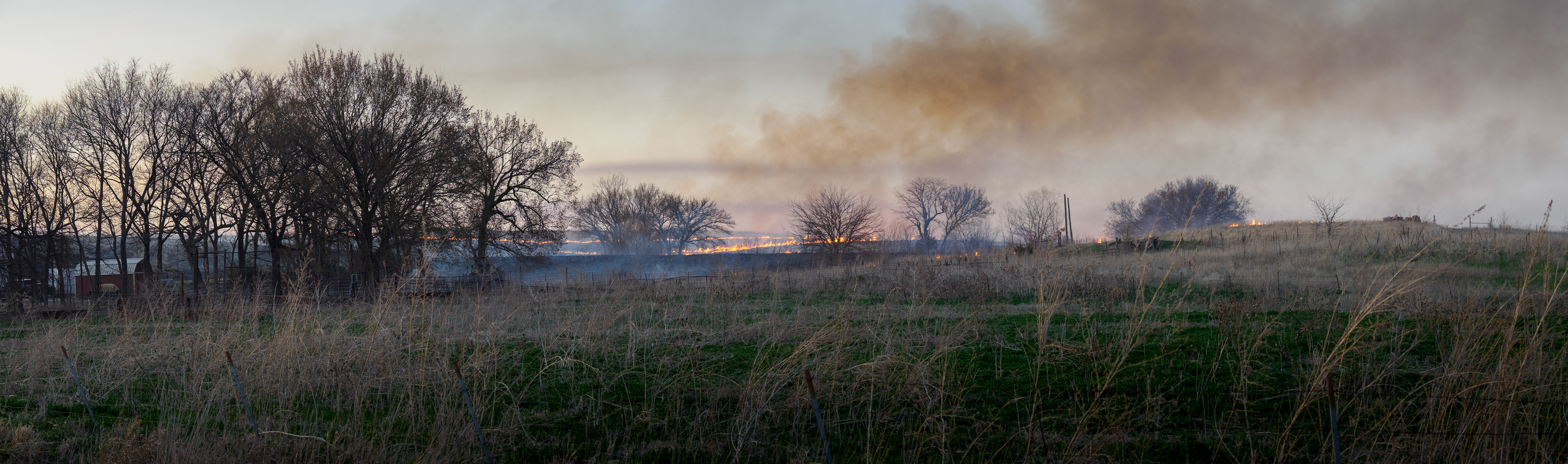 Jim Jones, Photographer