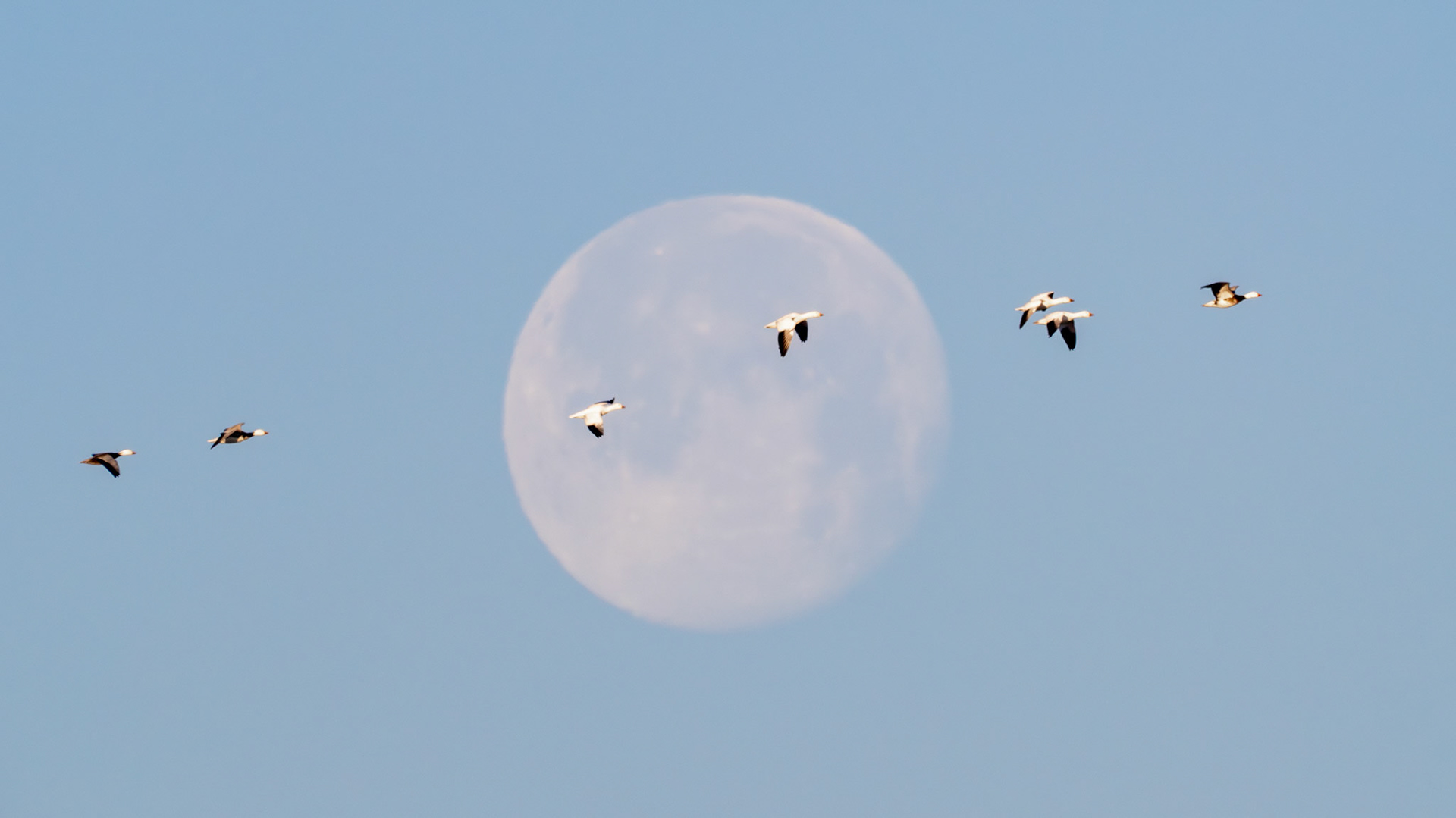 Jim Jones, Photographer