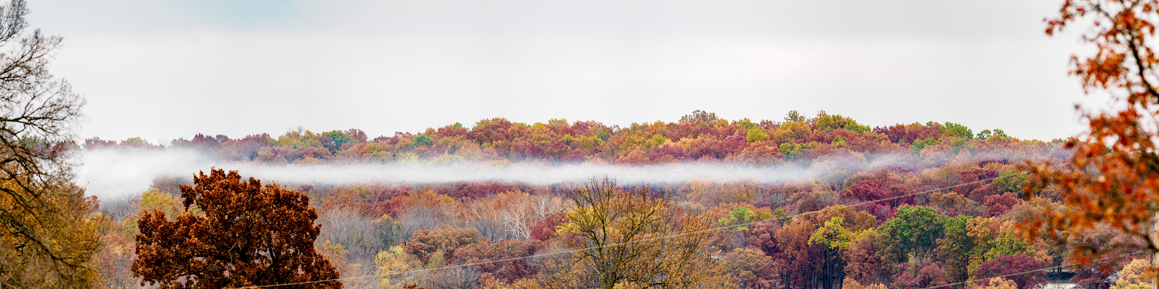 Jim Jones, Photographer