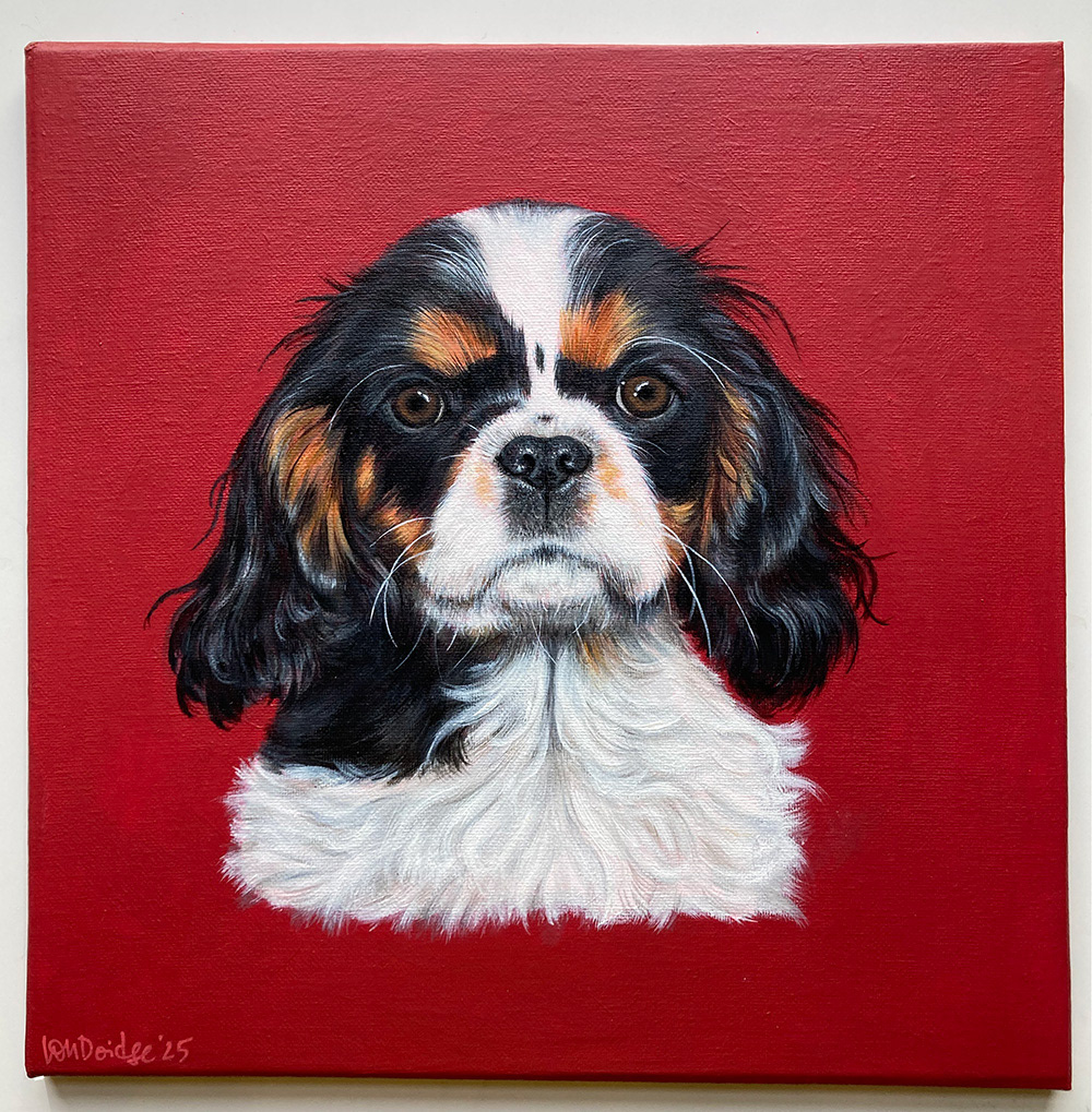 Face forward on 30cm x 30cm canvas